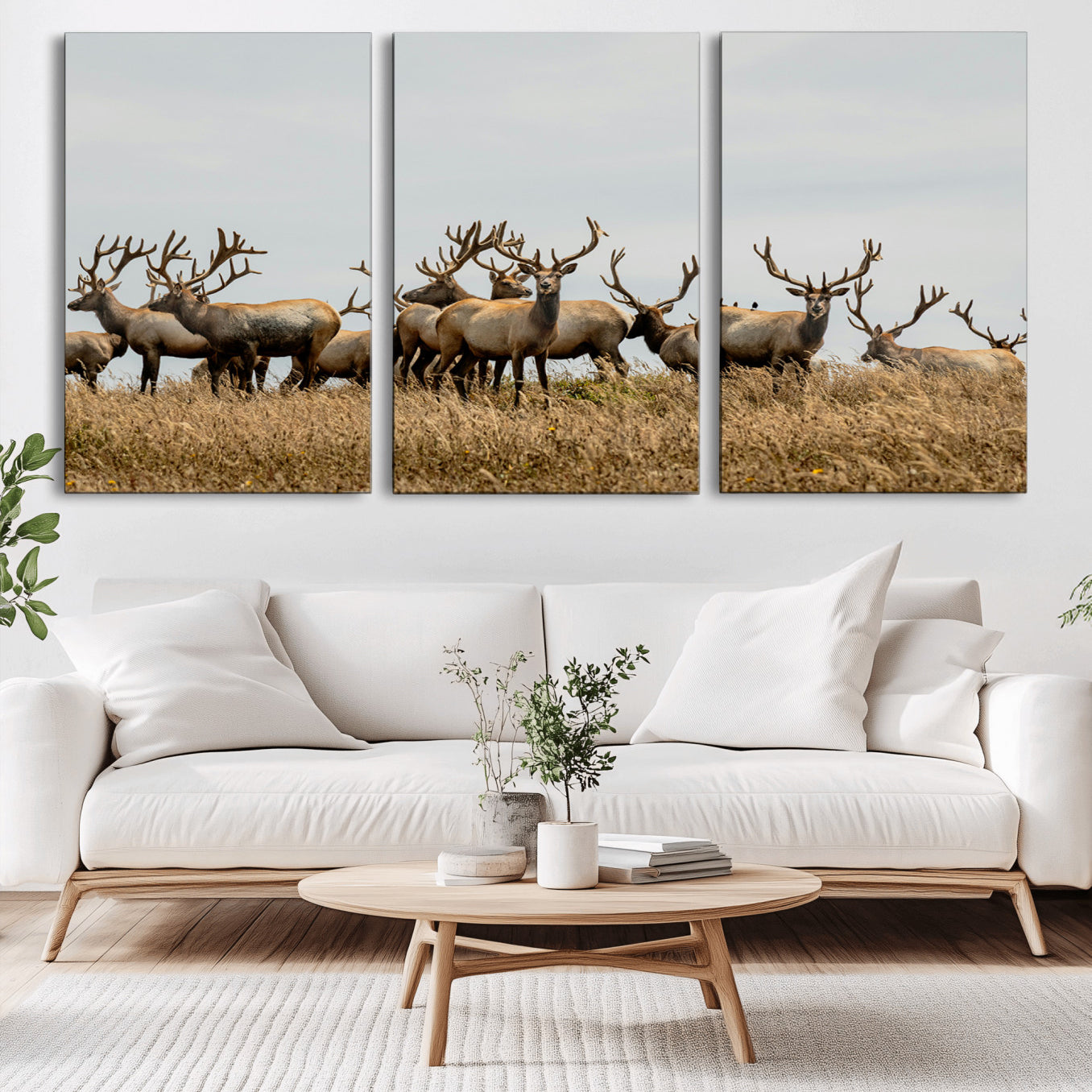 -Elk Herd Wall Art Canvas Print – Framed Wildlife Photography Majestic Antlers Nature Scene Artwork for Home Office