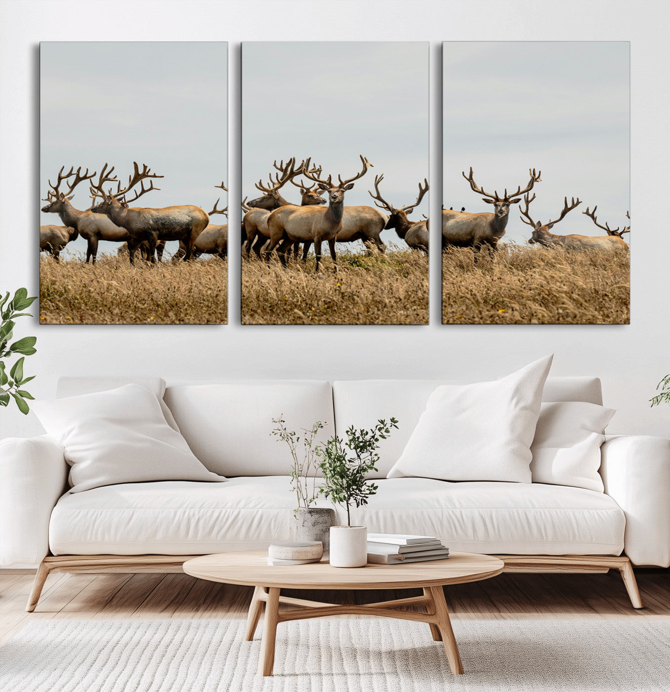 -Elk Herd Wall Art Canvas Print – Framed Wildlife Photography Majestic Antlers Nature Scene Artwork for Home Office