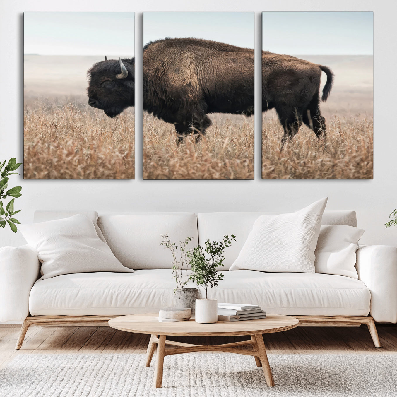 -American Bison Field Wall Art Canvas Print – Majestic Buffalo Grazing Wide Open Plains Wildlife Artwork for Home, Office