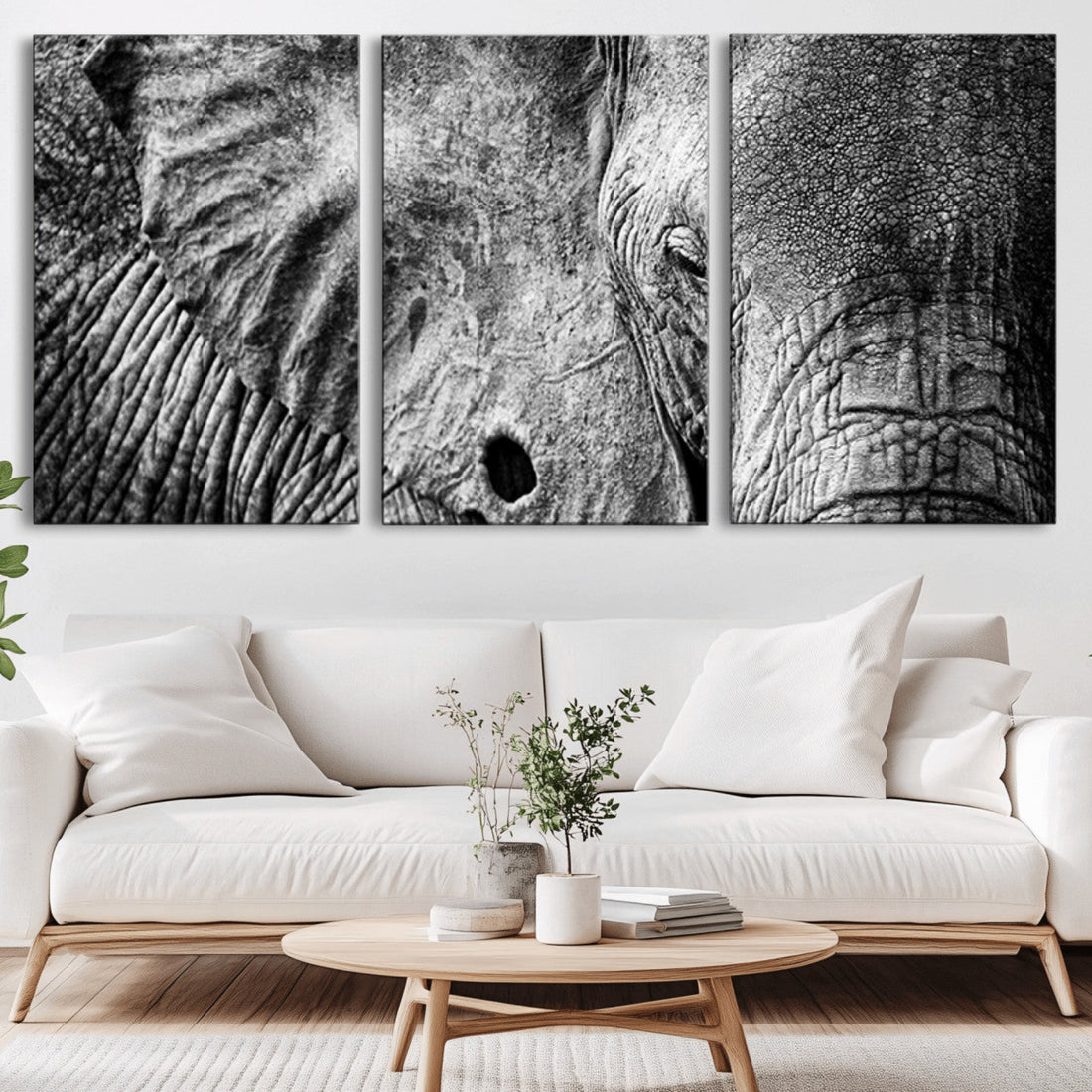 Wild Old Elephant Wall Art Canvas Print