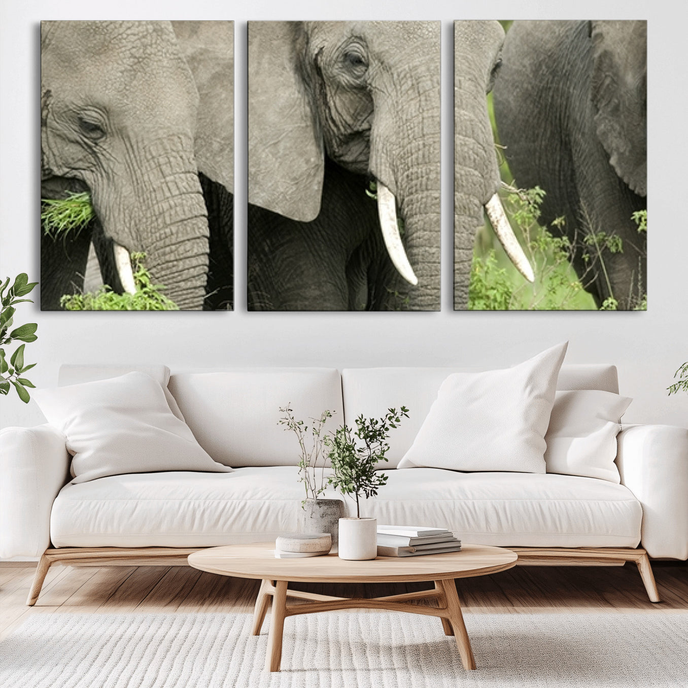 -Wild Elephant Wall Art Canvas Print