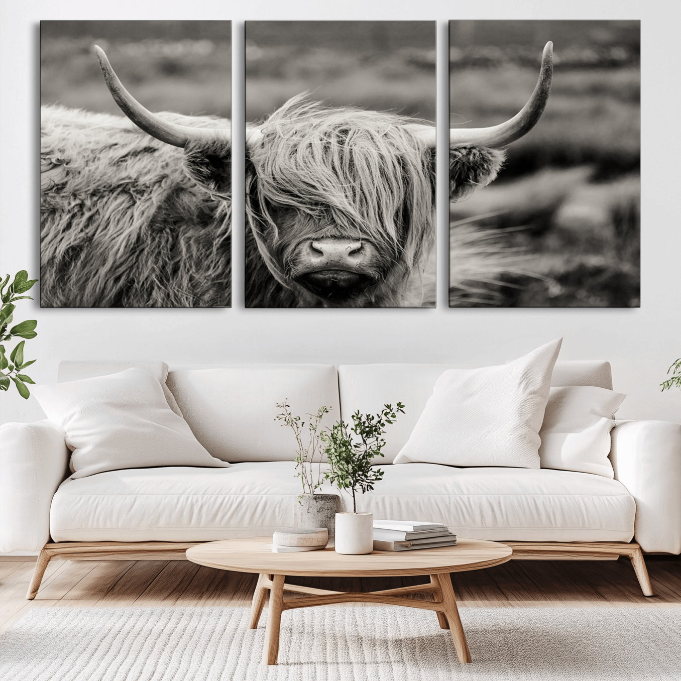 -Cow Focus Canvas Wall Art Print