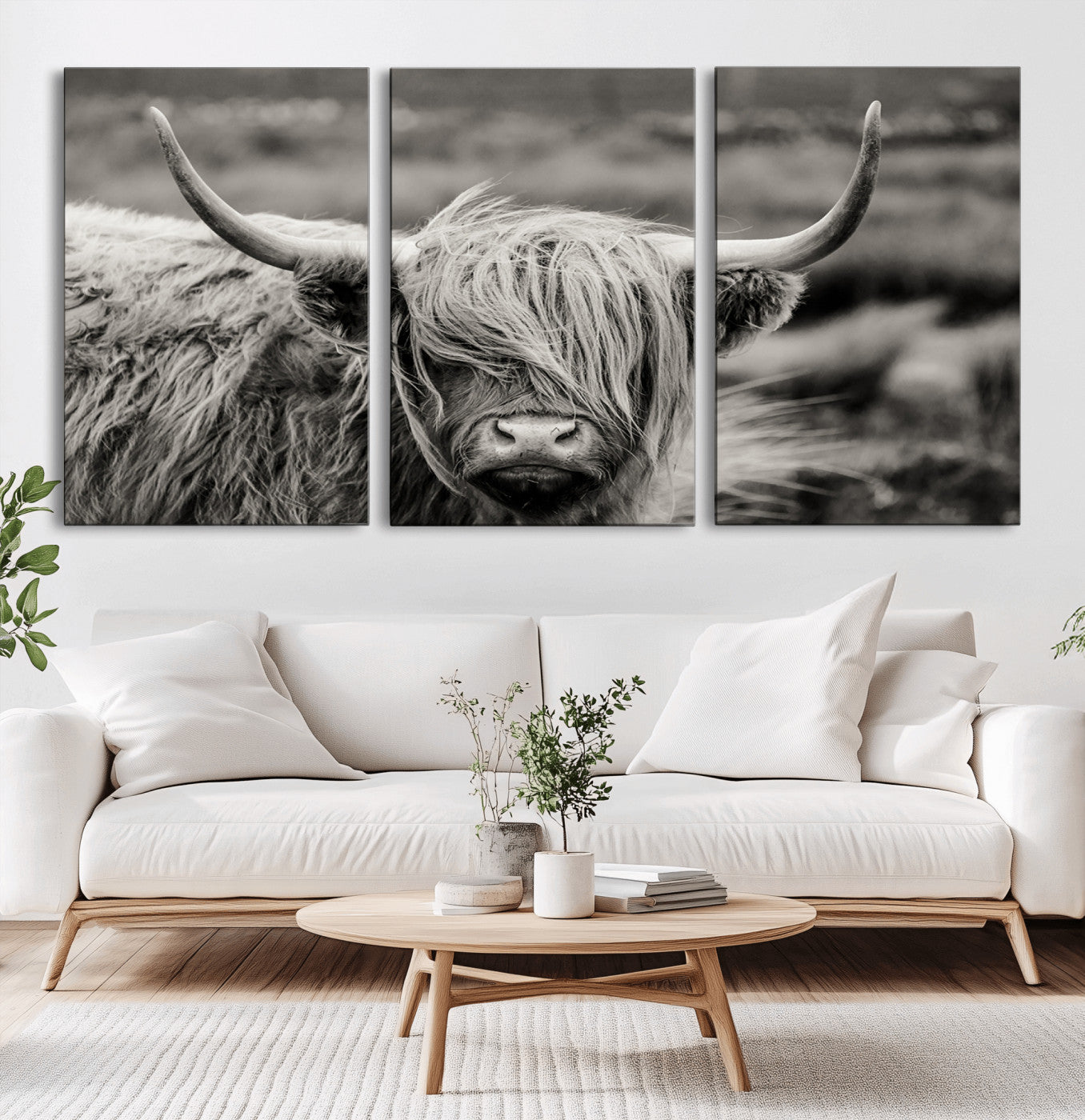 -Cow Focus Canvas Wall Art Print