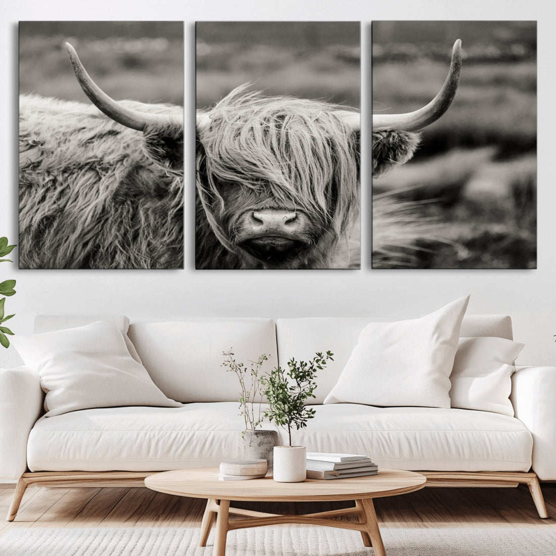 Cow Focus Canvas Wall Art Print