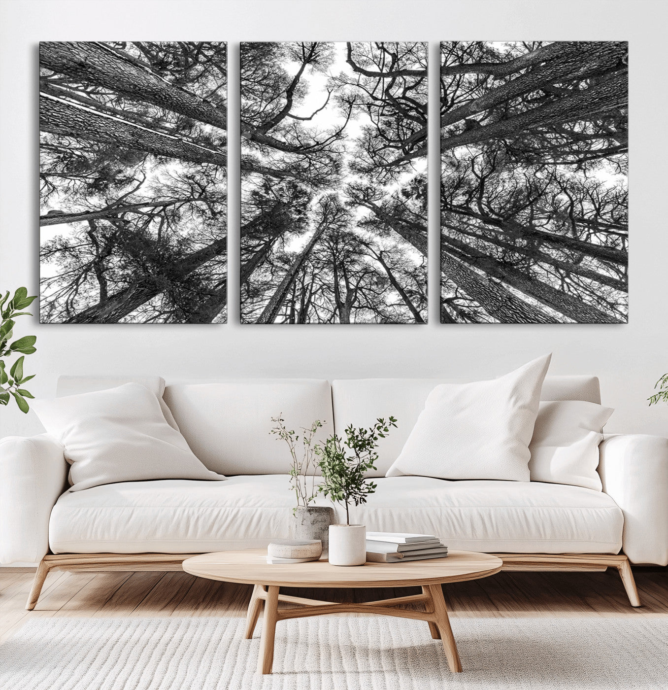-Trees Contemporary Art Canvas Print