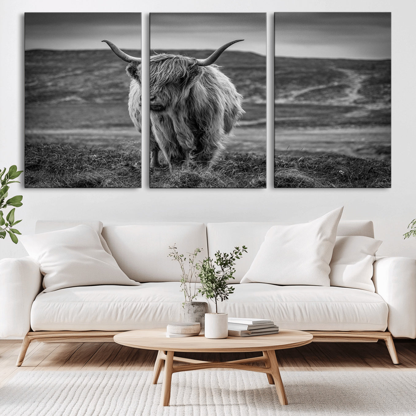 -Fluffy Cattle Wall Art Print, Highland Cow Canvas, Framed Black and white Wall Art