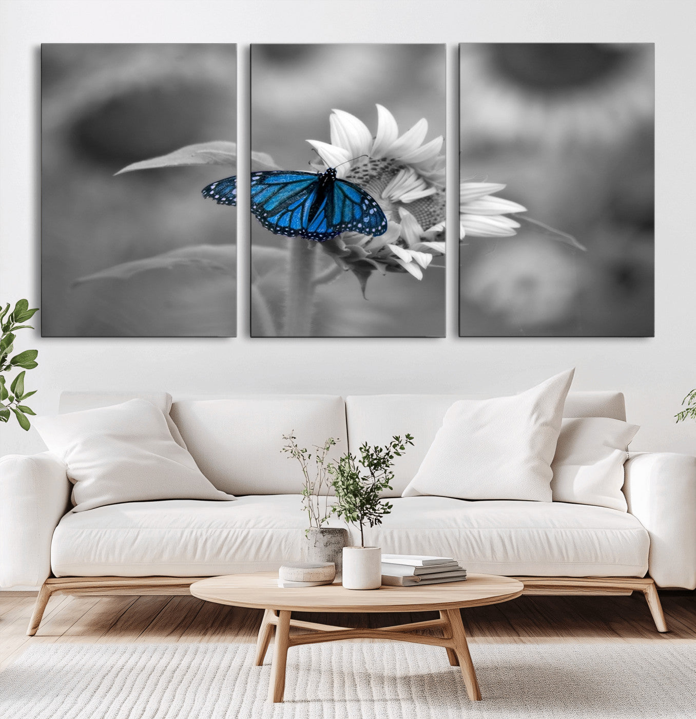 -Blue Butterfly Black and White Canvas Wall Art