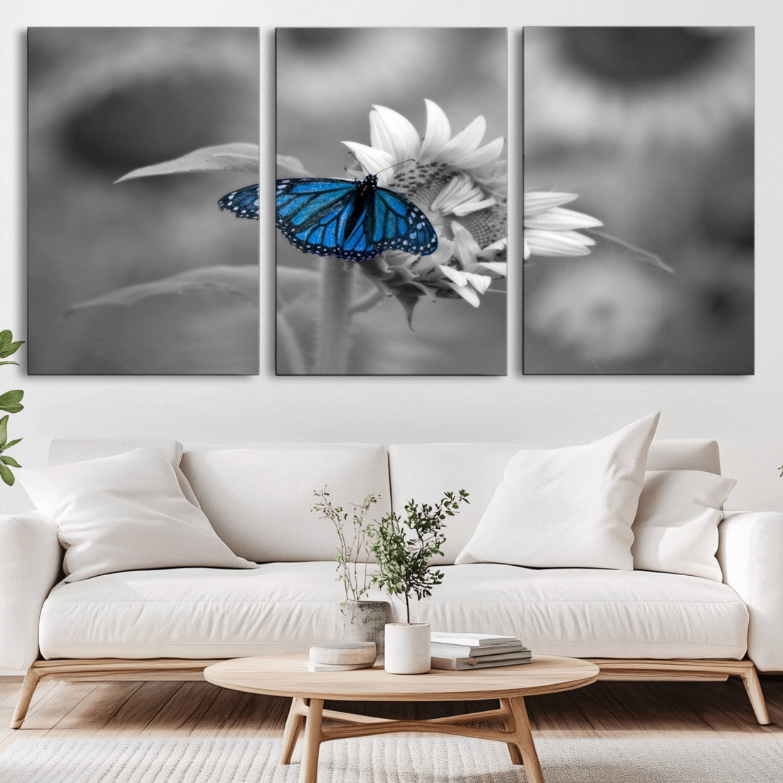 Blue Butterfly Black and White Canvas Wall Art