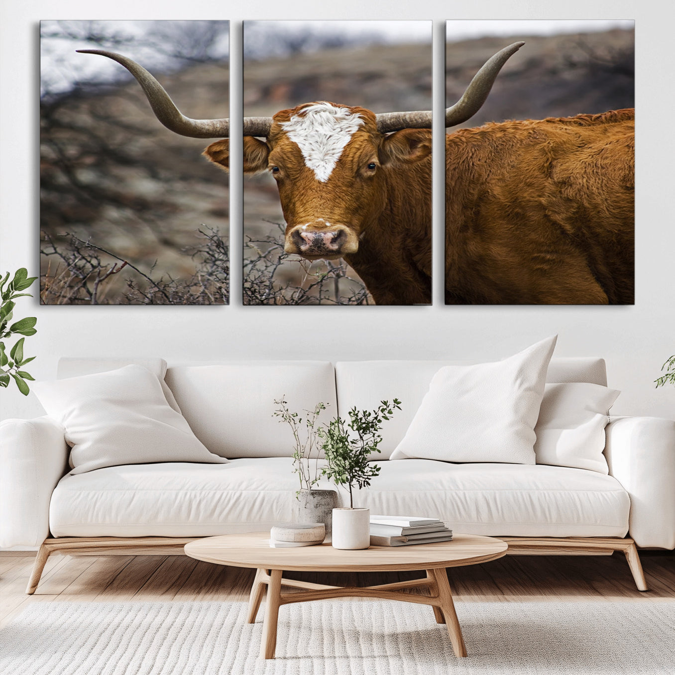 -Texas Longhorn Canvas Wall Art - Longhorn Steer Canvas Wall Art Print- Rustic Western Animal Print,