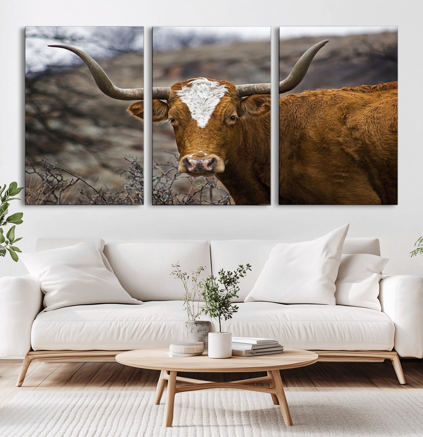 -Texas Longhorn Canvas Wall Art - Longhorn Steer Canvas Wall Art Print- Rustic Western Animal Print,