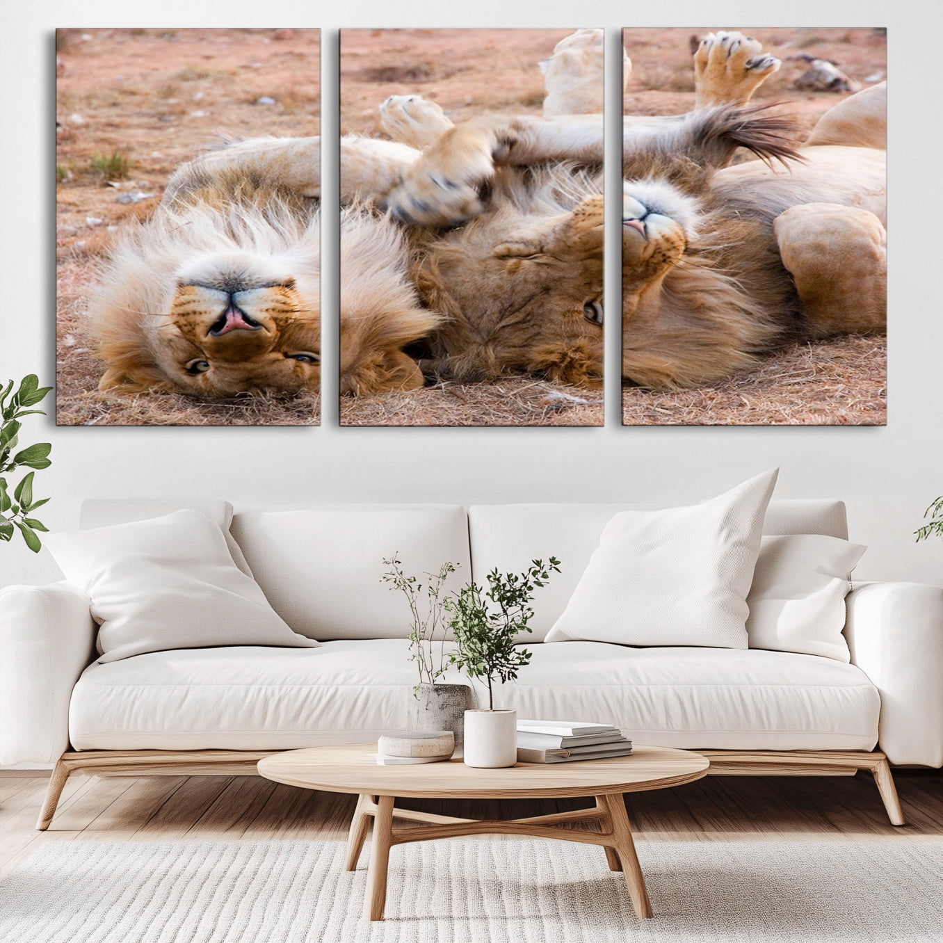 -Lion Pair Wall Art Canvas Print – Framed Wildlife Scene with Playful Lions Artwork for Home, Office, Living Room