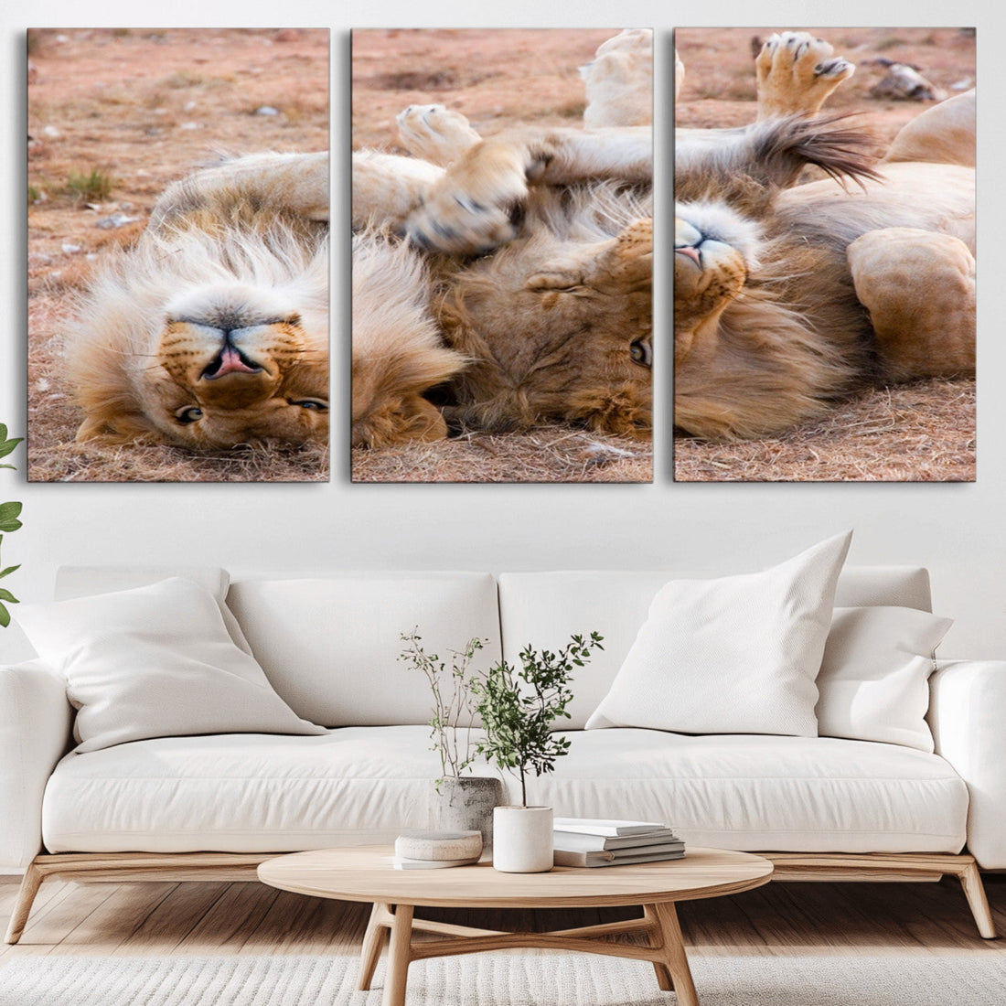 Lion Pair Wall Art Canvas Print | Wildlife Scene with Playful Lions