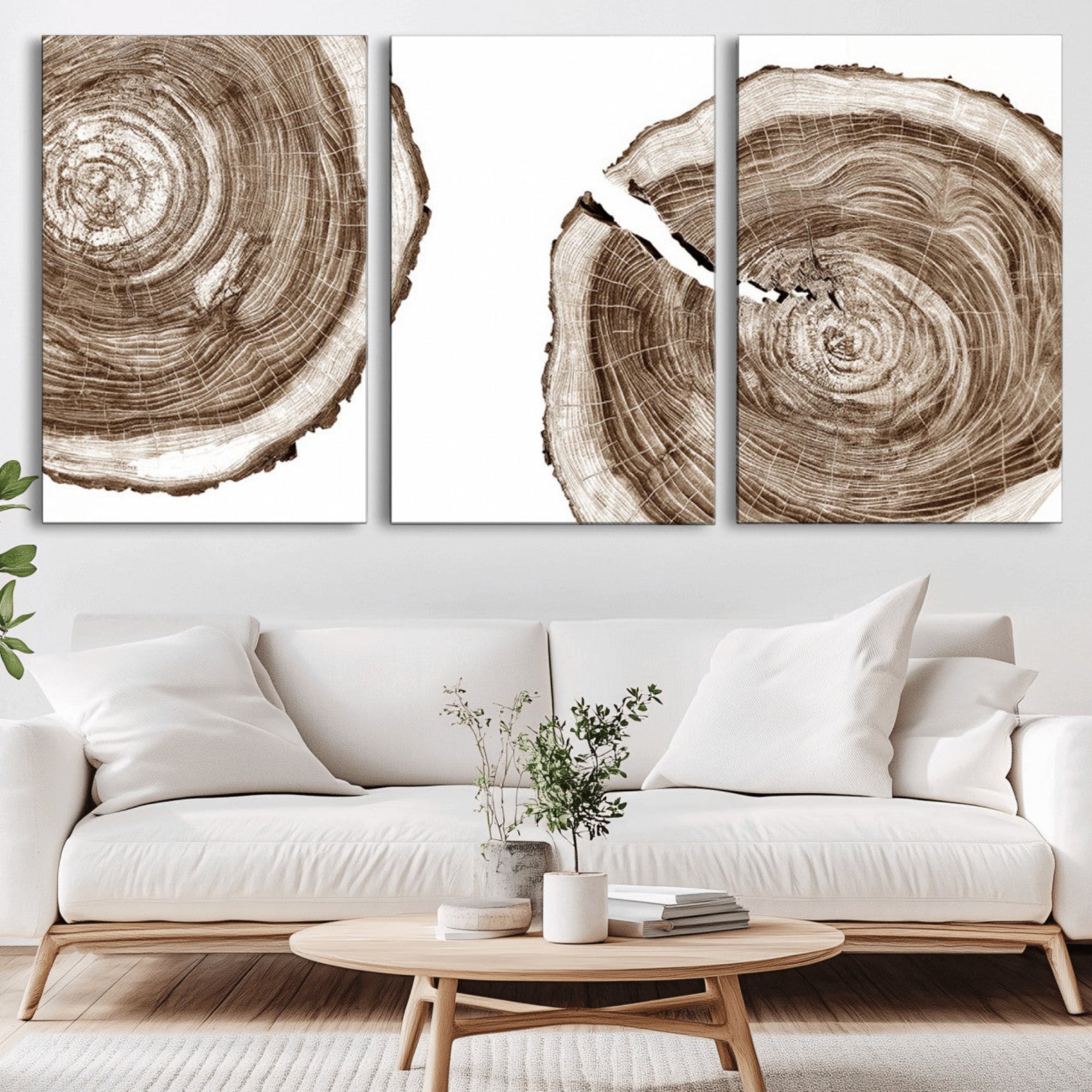 43743-MGV-CV-36X24-Wood Tree Ring Wall Art Canvas Prints, Tree Rings – Minimalist Black and White Wood Art | Triptych