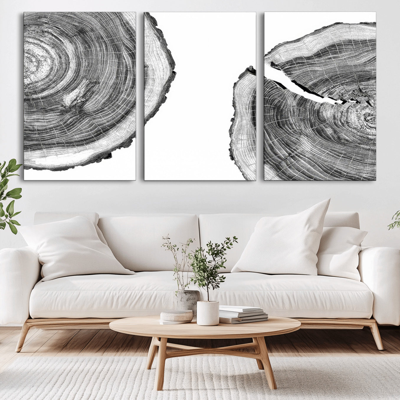 52770-MGV-CV-36X24-Abstract Large Tree Rings – Minimalist Black and White Wood Art | Triptych Canvas, Modern Wall Decor