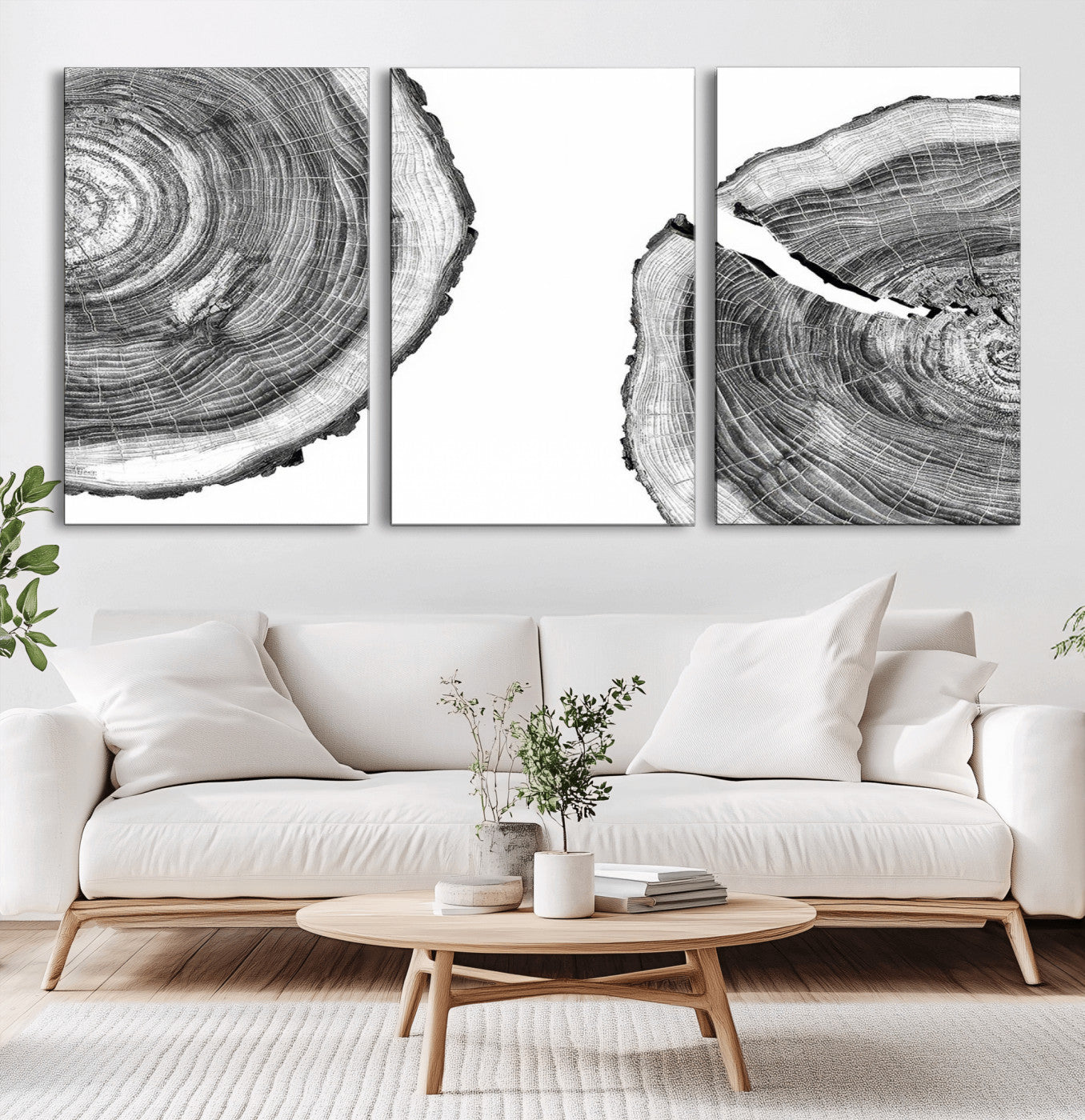 52770-MGV-CV-36X24-Abstract Large Tree Rings – Minimalist Black and White Wood Art | Triptych Canvas, Modern Wall Decor