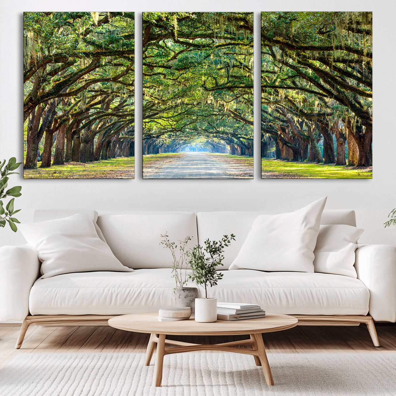-Wormsloe State Plantation Driveway Wall Art Canvas Print