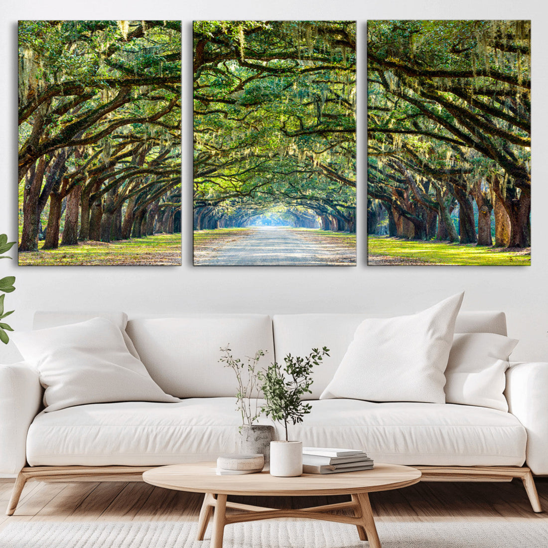 Wormsloe State Plantation Driveway Wall Art Canvas Print