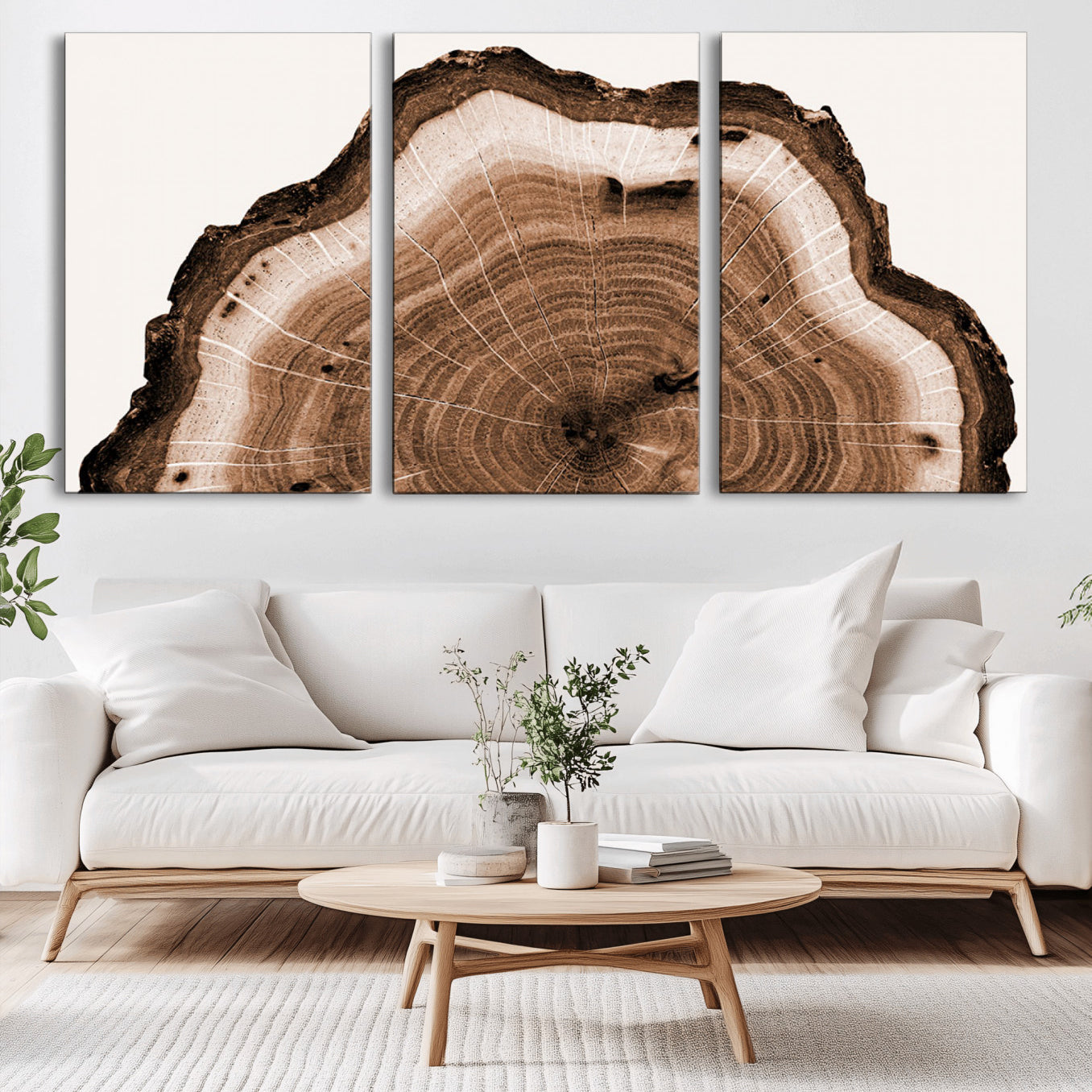 -Rustic Wood Rings Wall Art | Nature-Inspired Tree Ring Canvas Print | Ready to Hang and Framed for