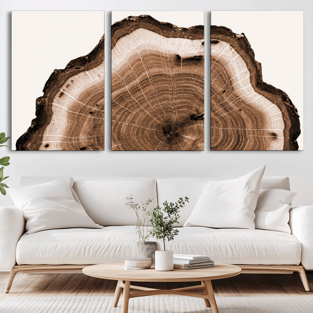 Rustic Wood Rings Wall Art, Nature-Inspired Tree Ring Canvas Print