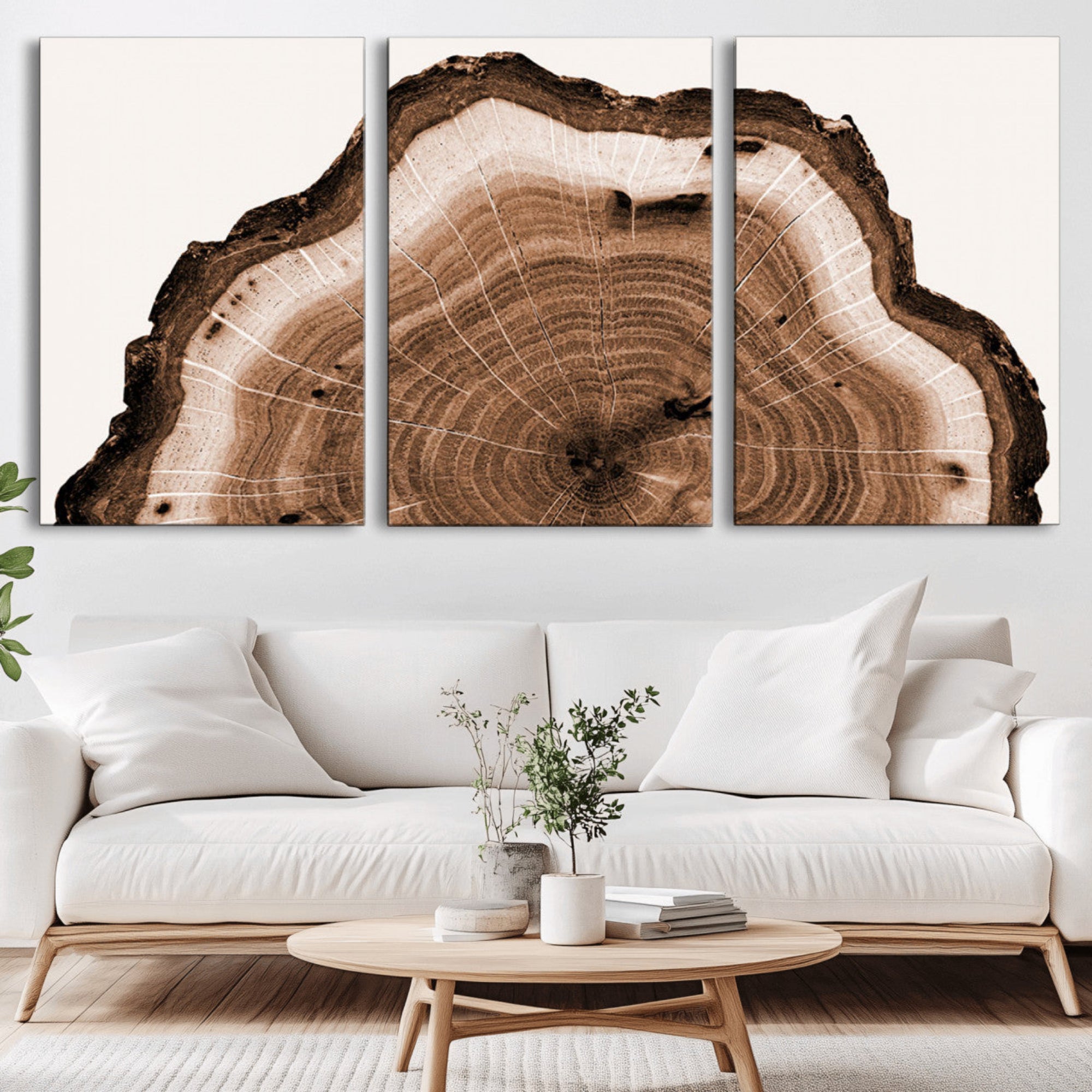 45195-MGV-CV-36X24-Rustic Wood Rings Wall Art | Nature-Inspired Tree Ring Canvas Print | Ready to Hang and Framed for