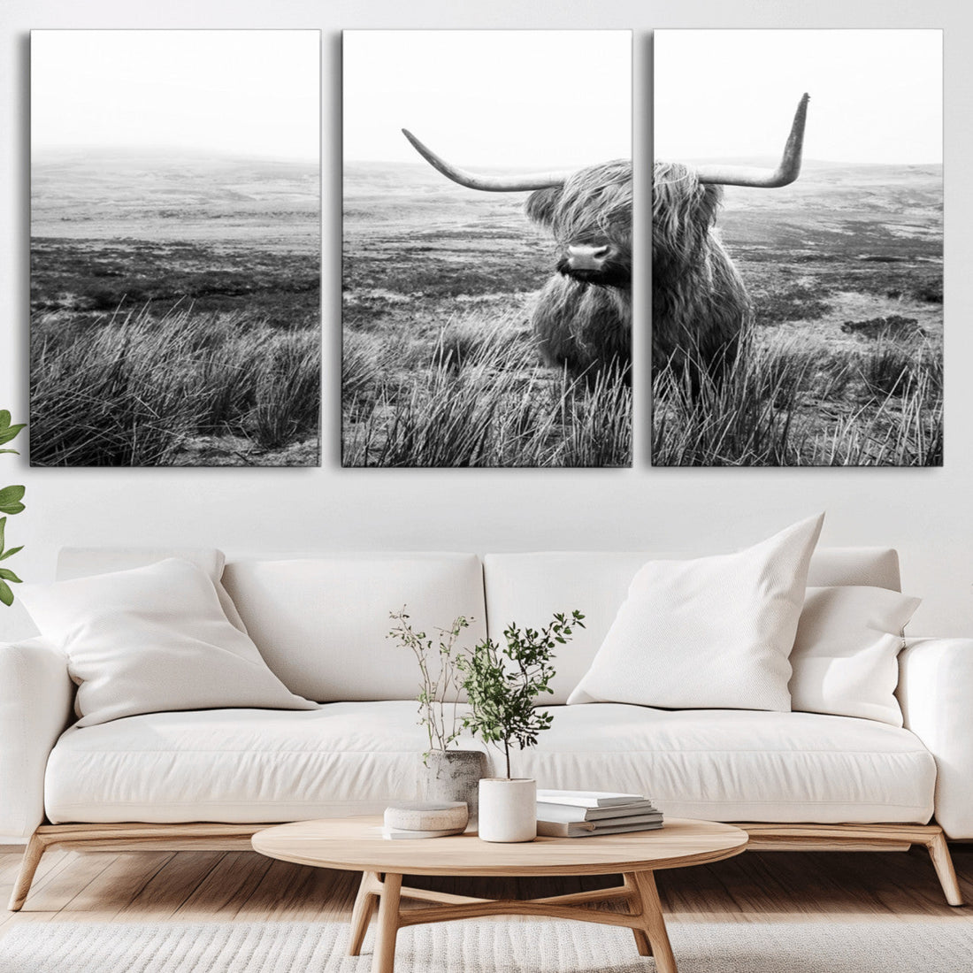Scottish Highland Cow Wall Art, Black and White Canvas Print