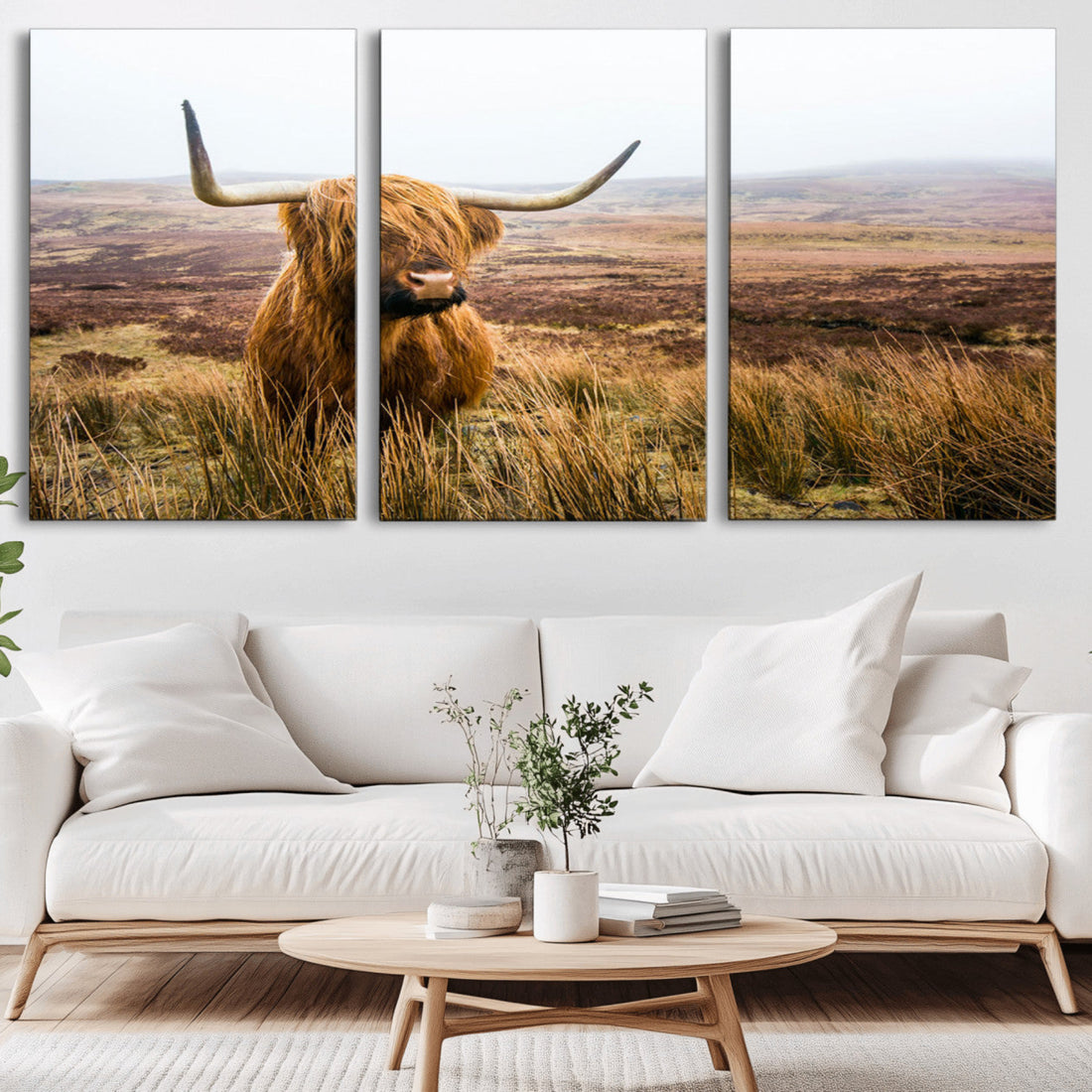 Scottish Highland Cow Canvas Wall Art, Rustic Farmhouse Decor