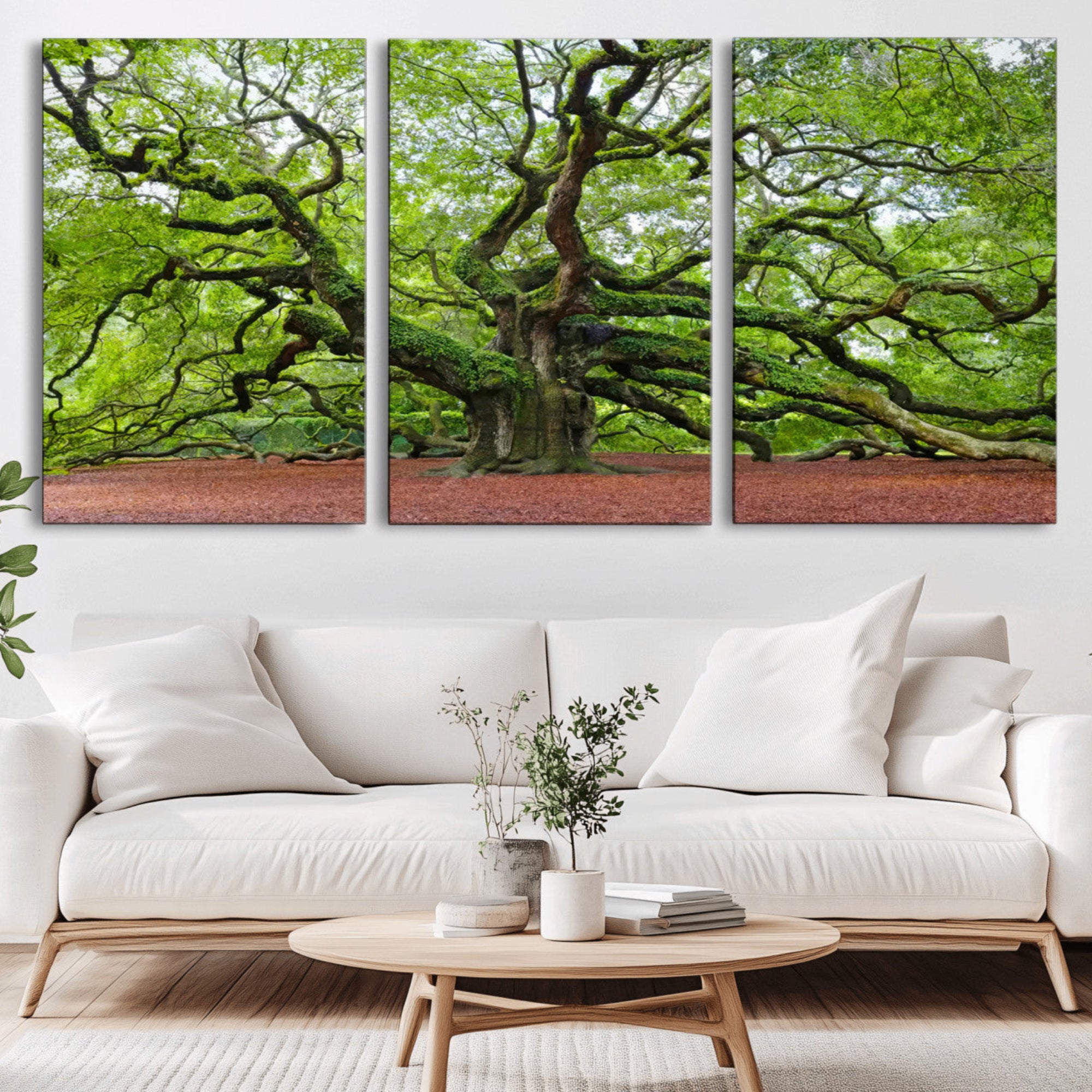 40313-MGV-CV-36X24-Framed Angel Oak Tree Wall Art - 3-Panel Canvas Prints, Large Green Nature Artwork, Ready to Hang