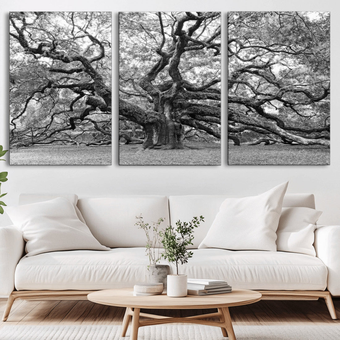 Black White Angel Oak Tree Wall Art