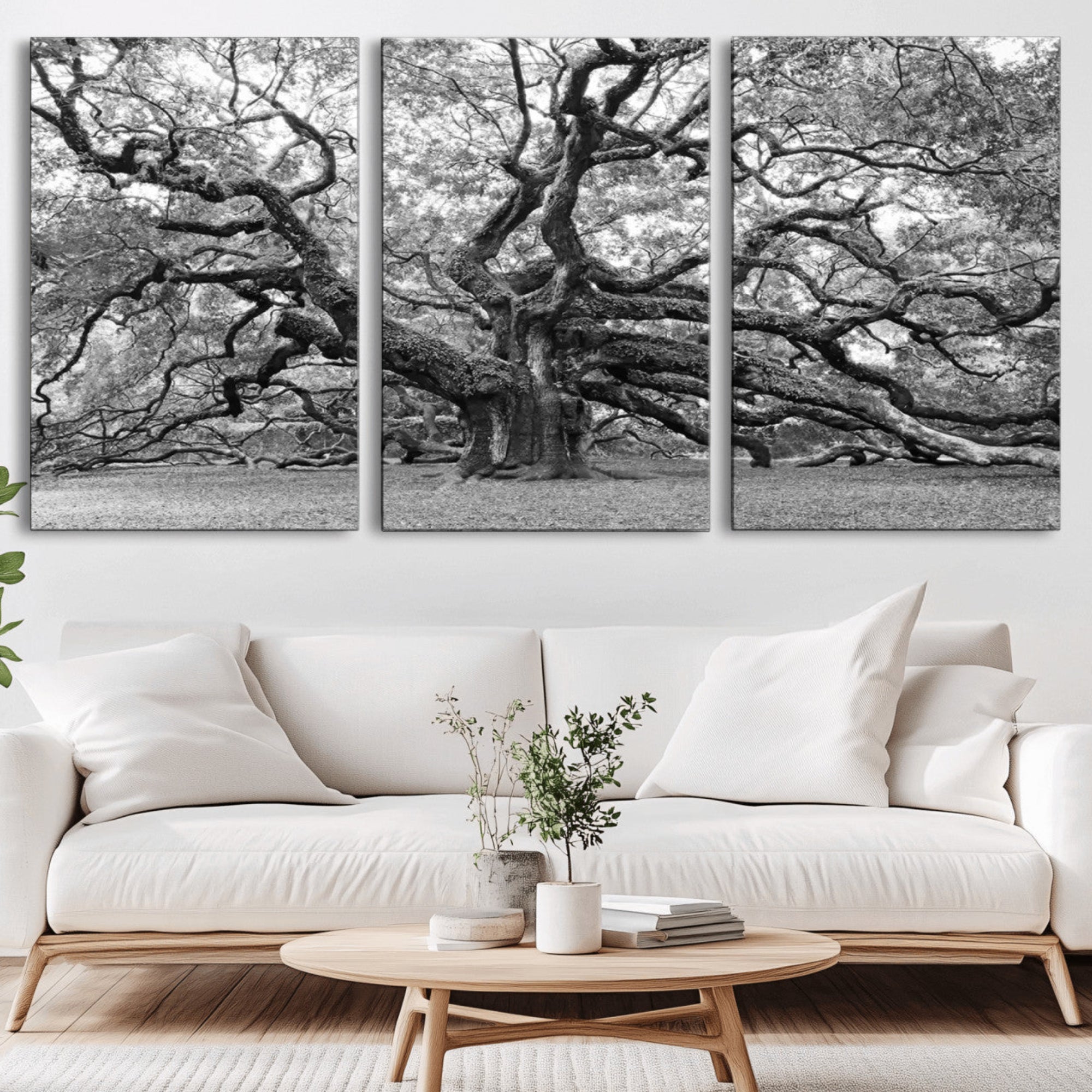 12314-MGV-CV-36X24-Black White Angel Oak Tree Wall Art - Timeless Nature-Inspired Canvas for Rustic, Modern, or