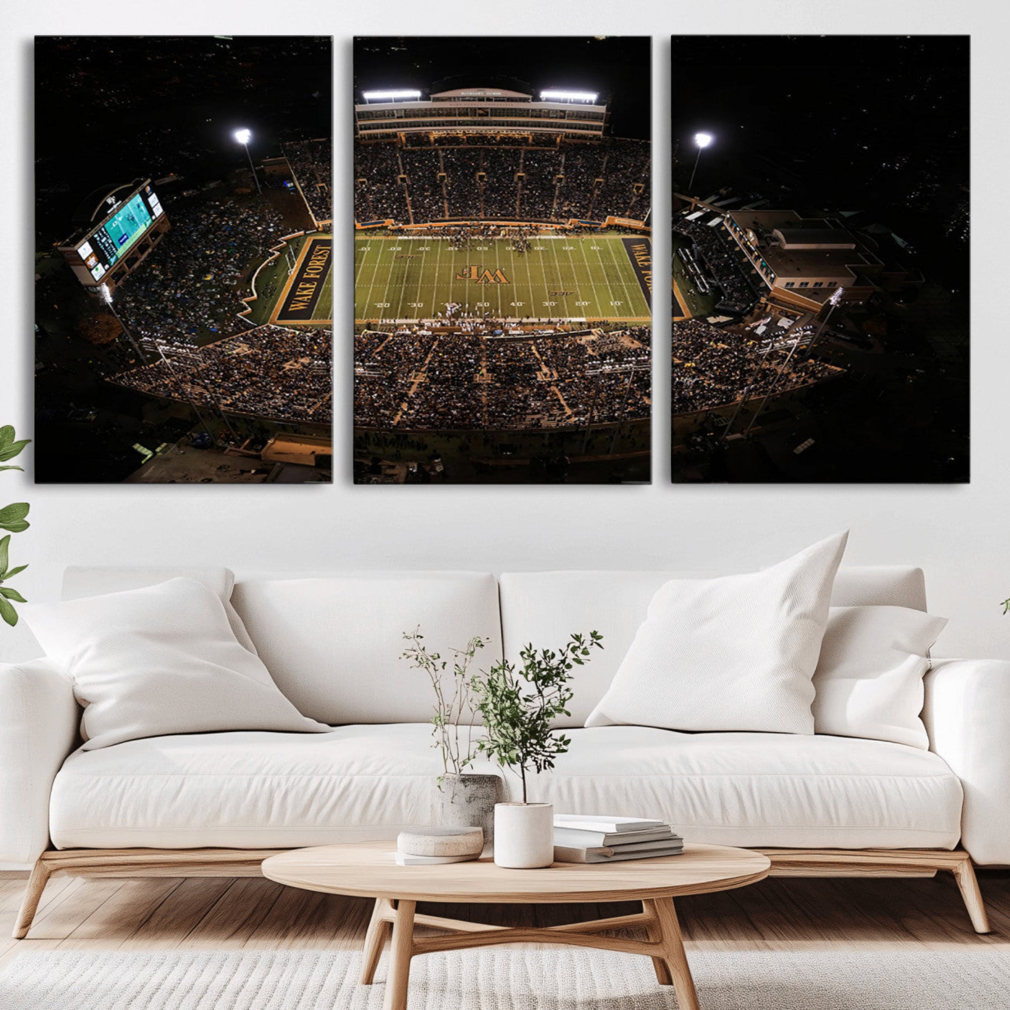 20605-MGV-CV-36X24-Wake Forest University Demon Deacons Canvas Printi, Football Team Print - Winston-Salem Allegacy