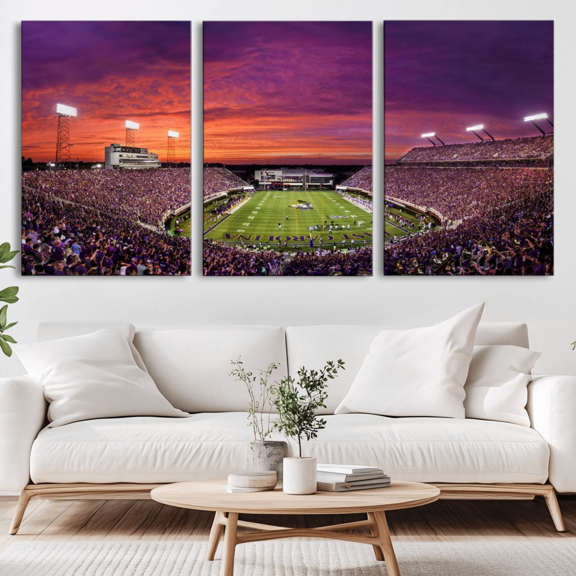 88575-MGV-CV-36X24-East Carolina University Pirates Football Print Canvas- Greenville Dowdy-Ficklen Stadium Wall Art
