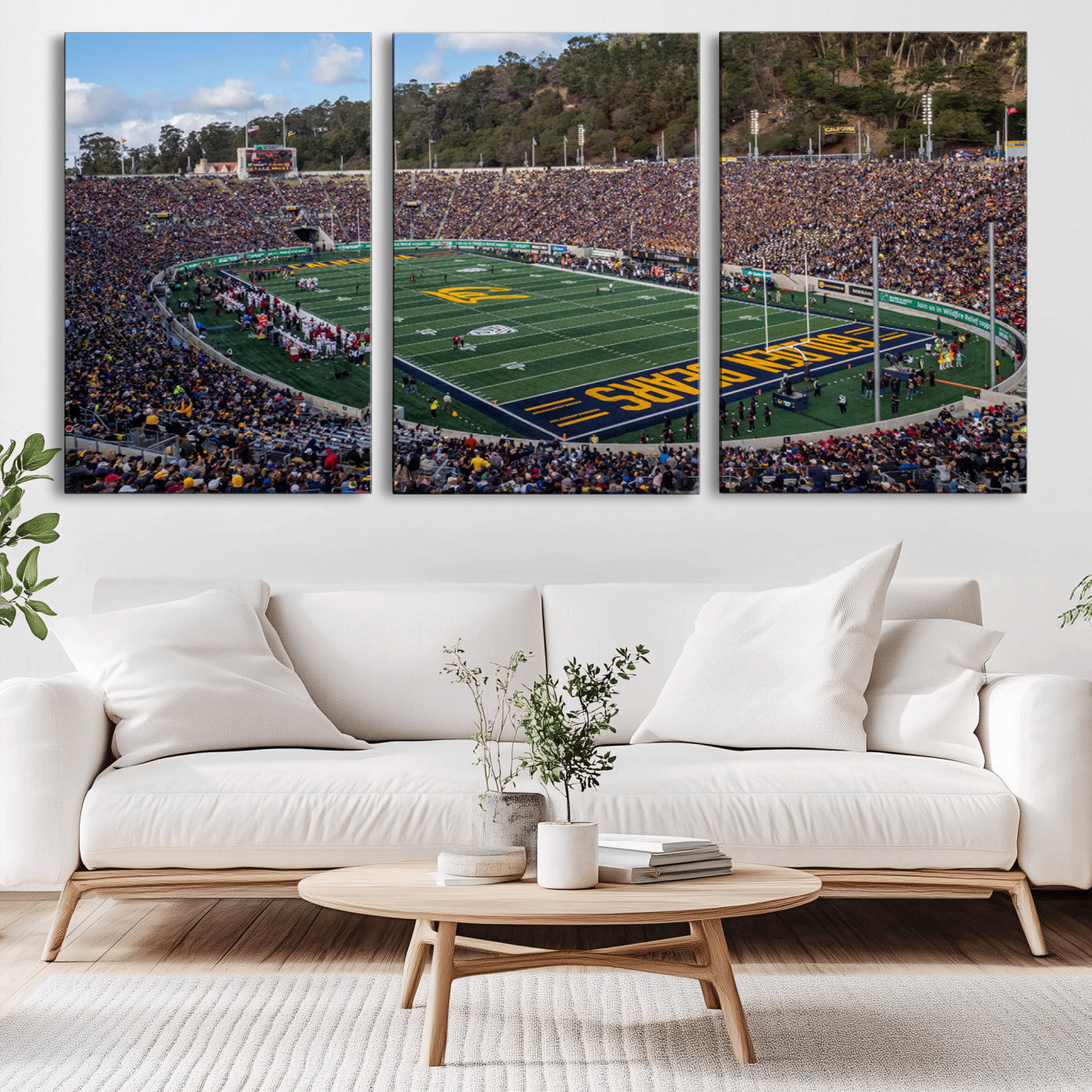 -University of California Golden Bears Football Team Print - Berkeley California Memorial Stadium Art