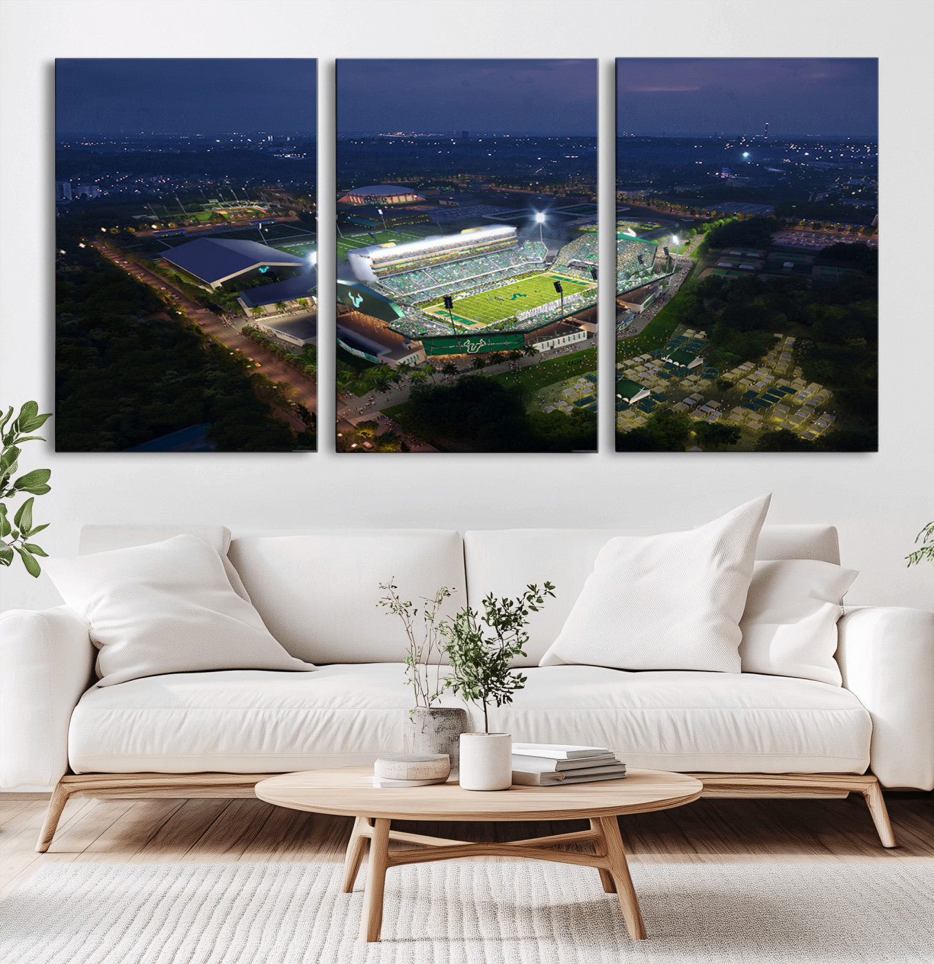 -The University of South Florida Bulls Football Team Print - Tampa USF Football Stadium Wall Art