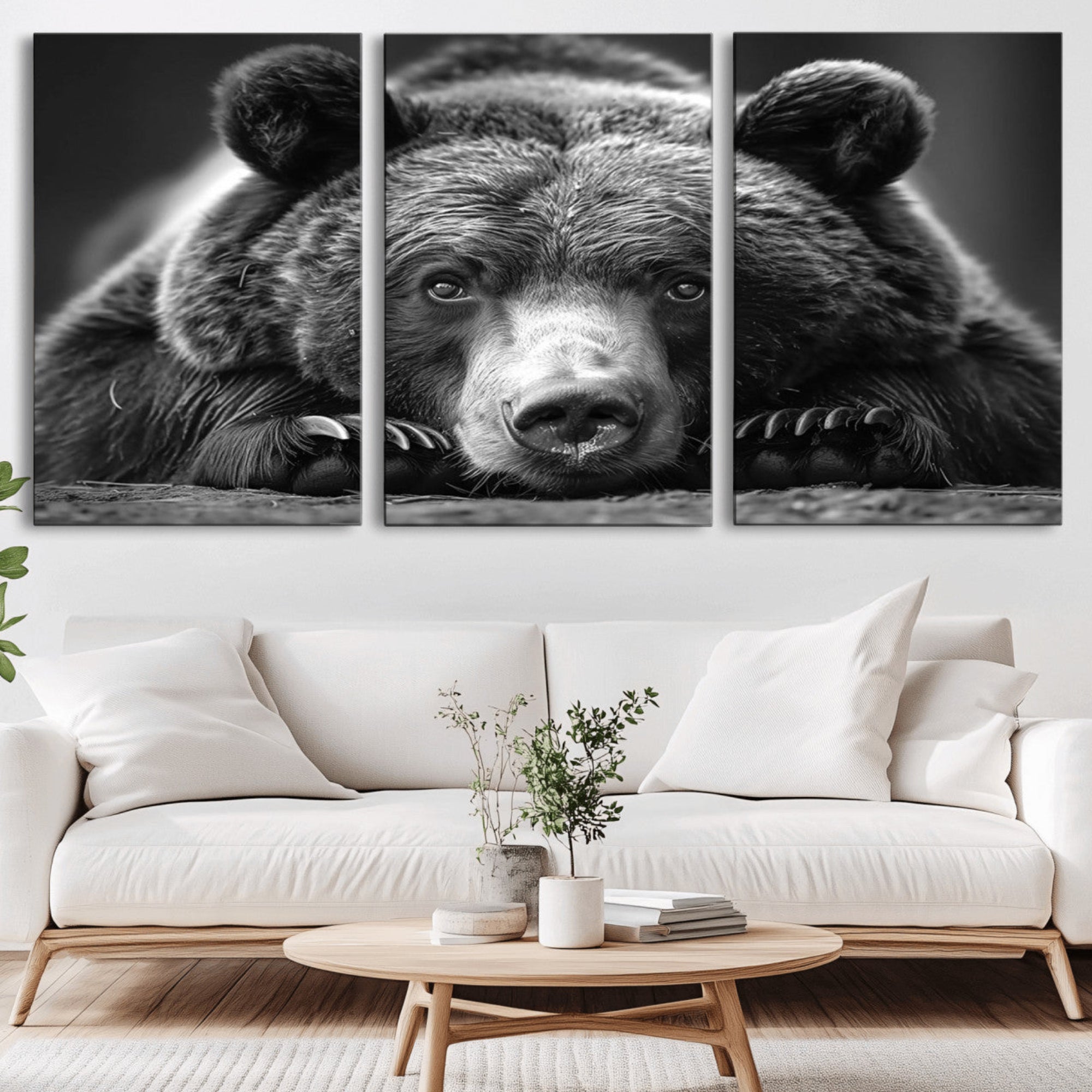 41161-MGV-CV-36X24-Resting Grizzly 399 Bear Canvas Print | Ready to Hang Wall Art | Rustic Cabin & Farmhouse Decor |