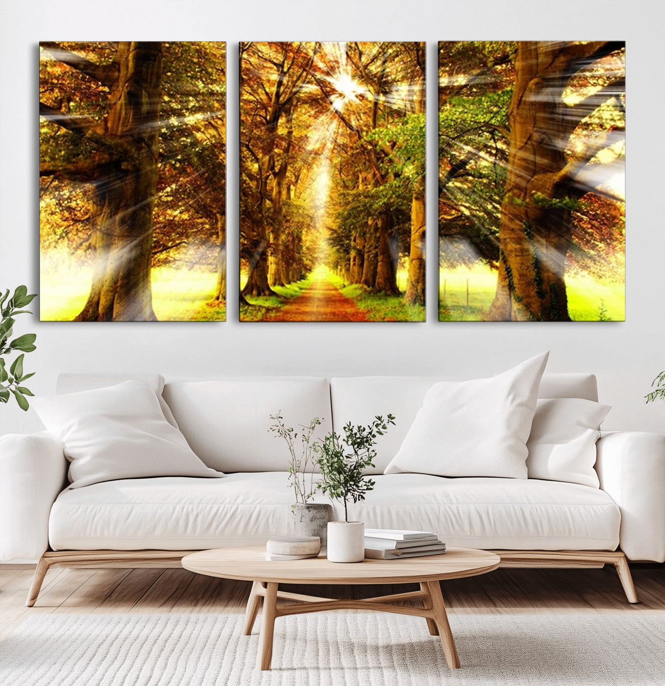 -Sunshine in Forest and Trees Wall Art Canvas Print
