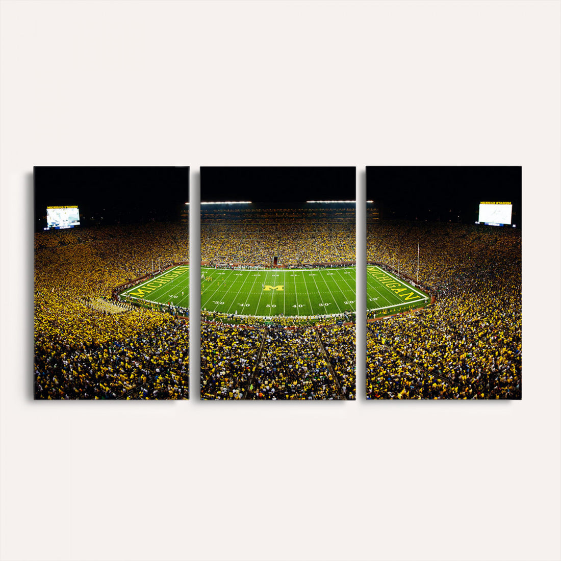 Stadium in Michigan Wall Art Canvas Print, Framed American Football Stadium Art