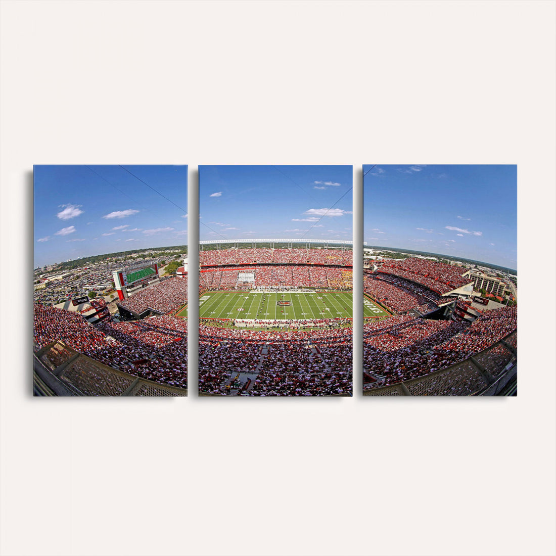 William Brice Stadium Wall Art Canvas Print, Stadium Crowd on Football Game Day