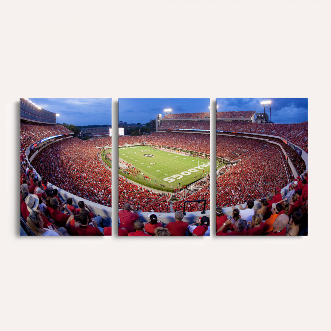 Dooley Stadium Wall Art, Sports Arena Canvas Print, Dooley Field, Home Bar Wall Decor