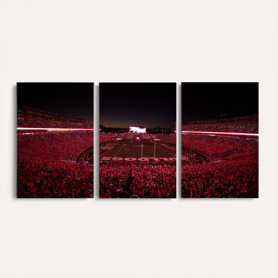 Dooley Stadium Wall Art, Sports Arena Canvas Print, Dooley Field Sanford Stadium