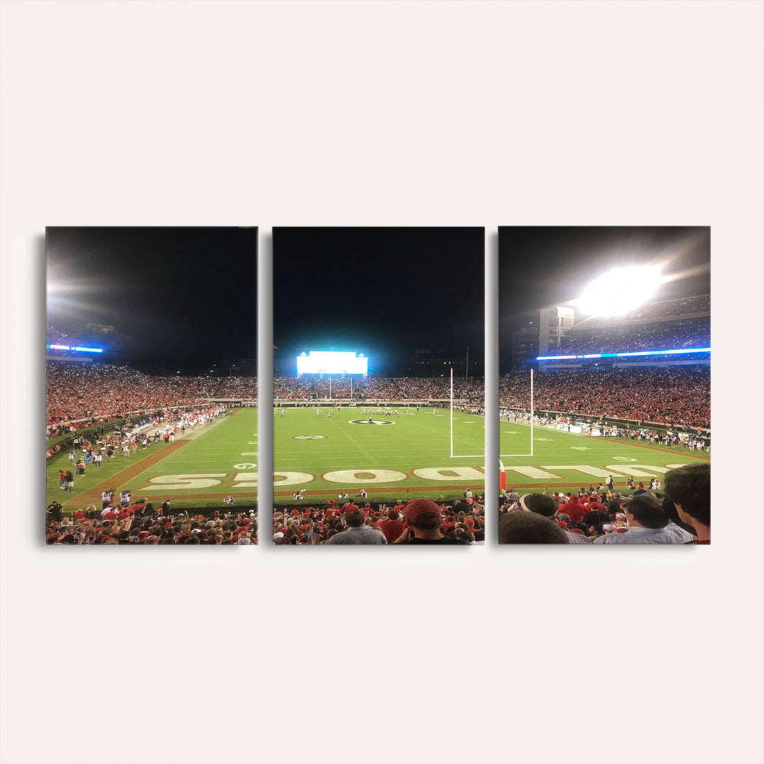 Dooley Stadium Wall Art, Sports Arena Panoramic Canvas