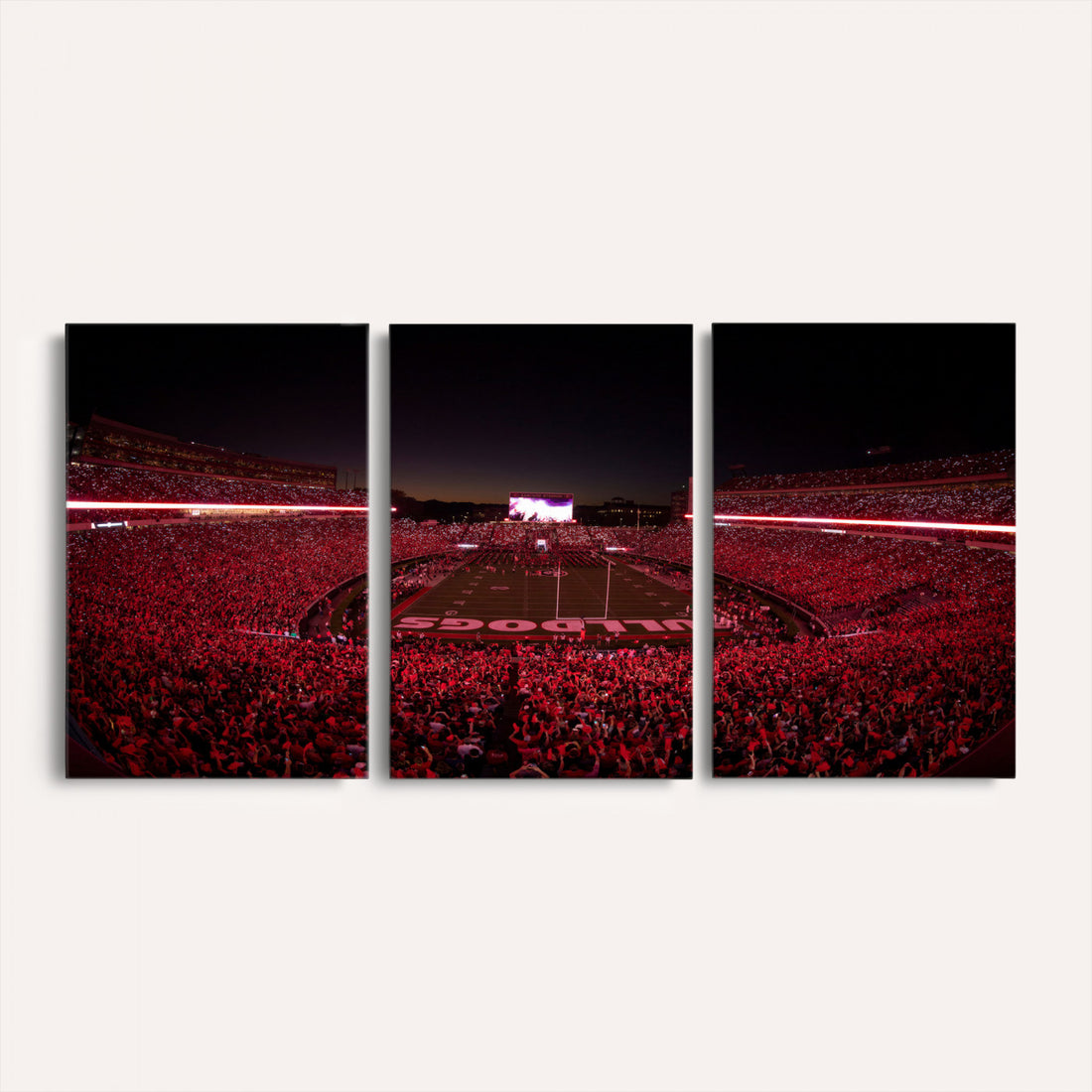 Sanford Stadium Wall Art Canvas Print, Georgia Bulldogs