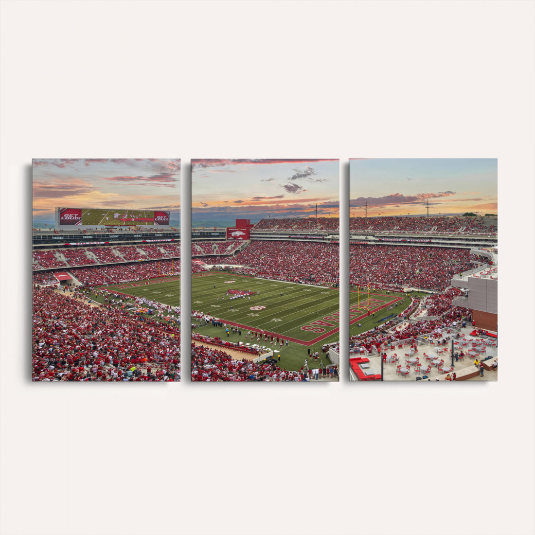 Donald W. Reynolds Razorback Stadium Wall Art Canvas Print