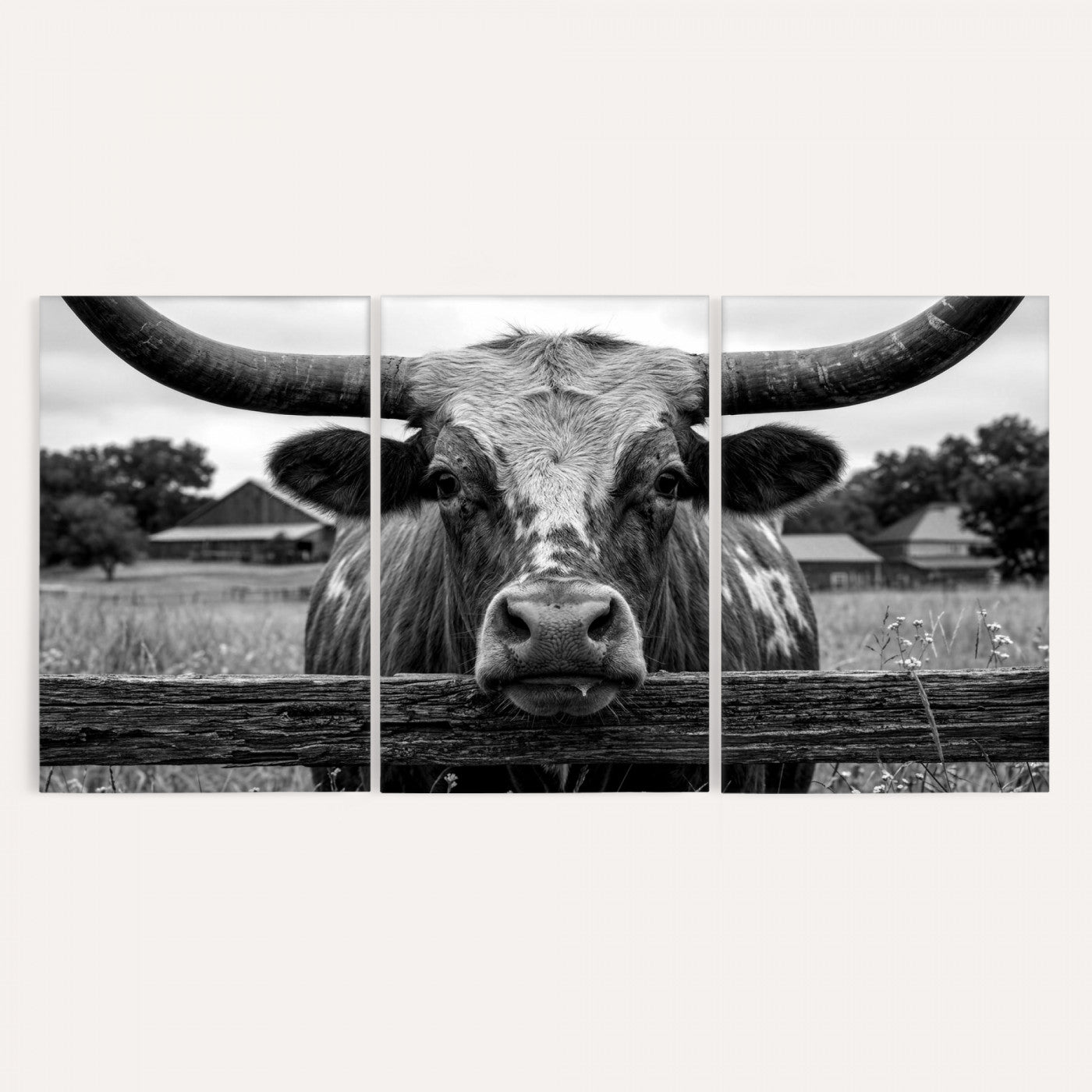 59378683B-MGV-CV-36X24 - Black White Texas Longhorn Bull Canvas Wall Art, Western Ranch Cattle Photography Print, Rustic Farmhouse Cowboy Decor Artwork