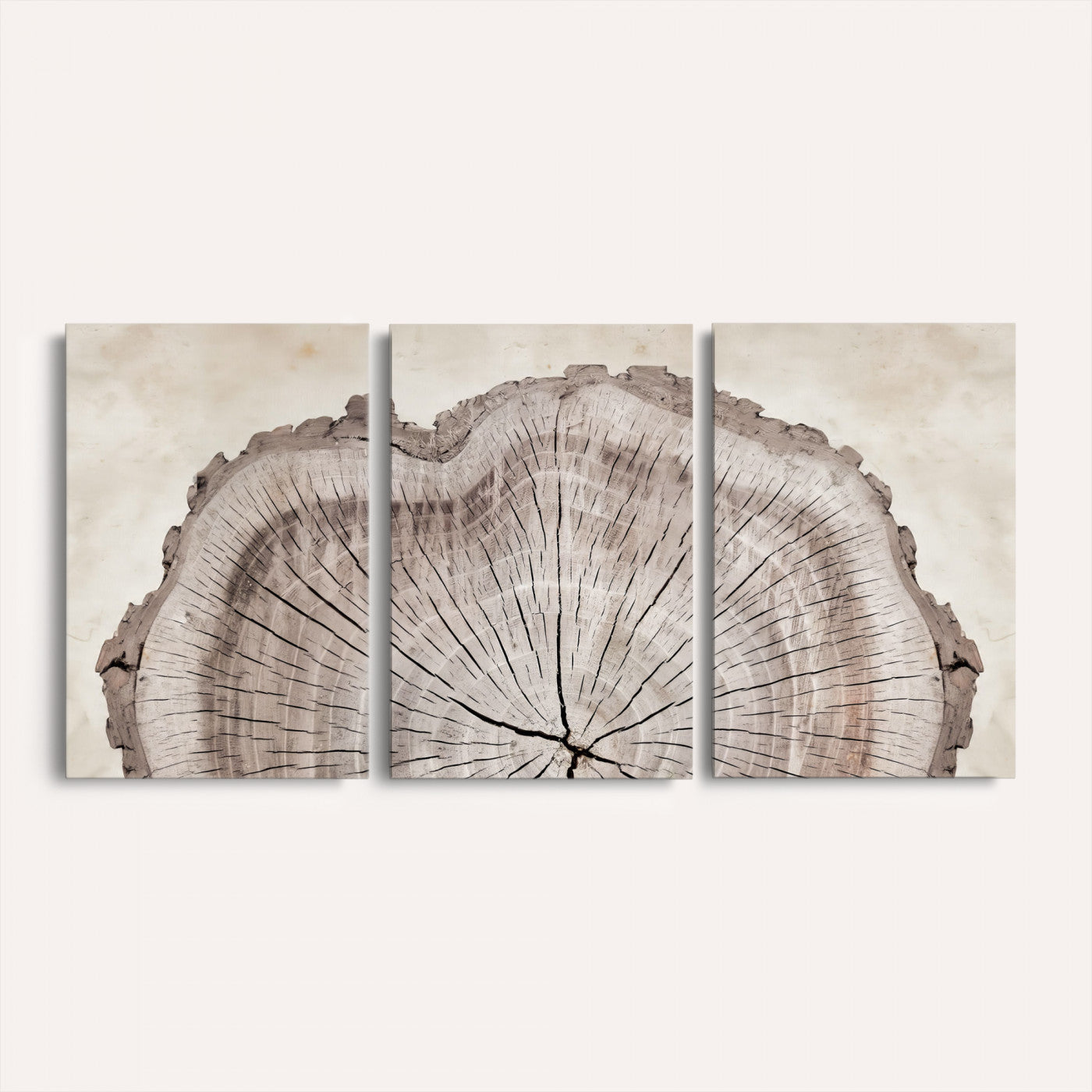 87833480-MGV-CV-60X30-3P - Tree Ring Canvas Wall Art in Neutral Earth Tones, Framed Wood Slice Print for Rustic and Japandi Interiors