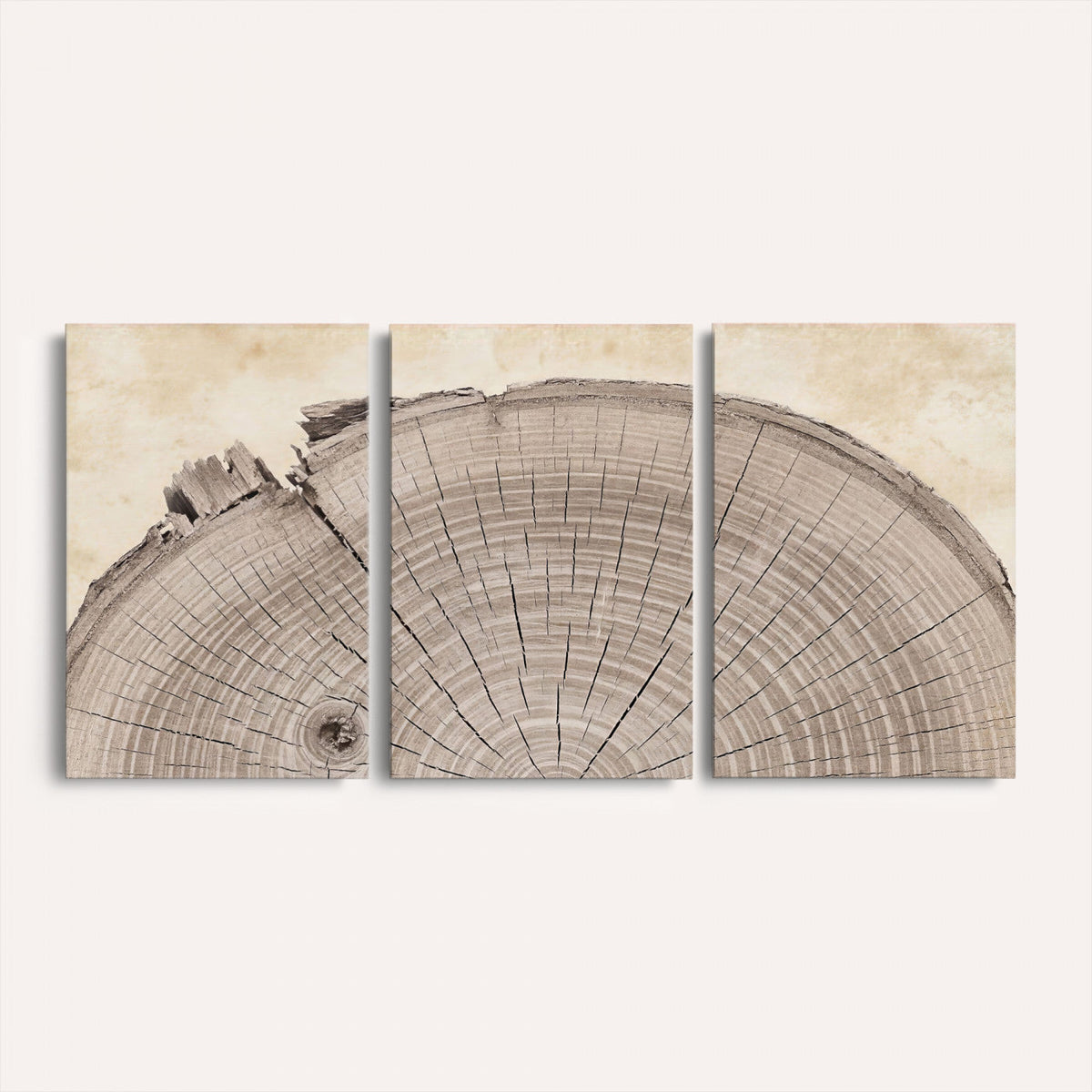 64174838-MGV-CV-60X30-3P - Tree Ring Canvas Wall Art in Neutral Earth Tones, Framed Wood Slice Print for Rustic and Japandi Interiors