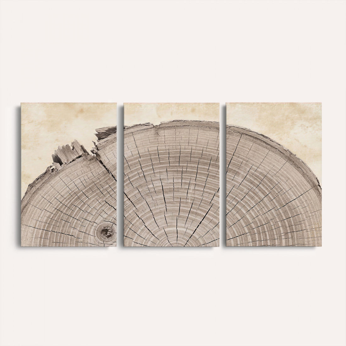 Tree Ring Canvas Wall Art in Neutral Earth Tones, Extra Large Living Room Wall Decor