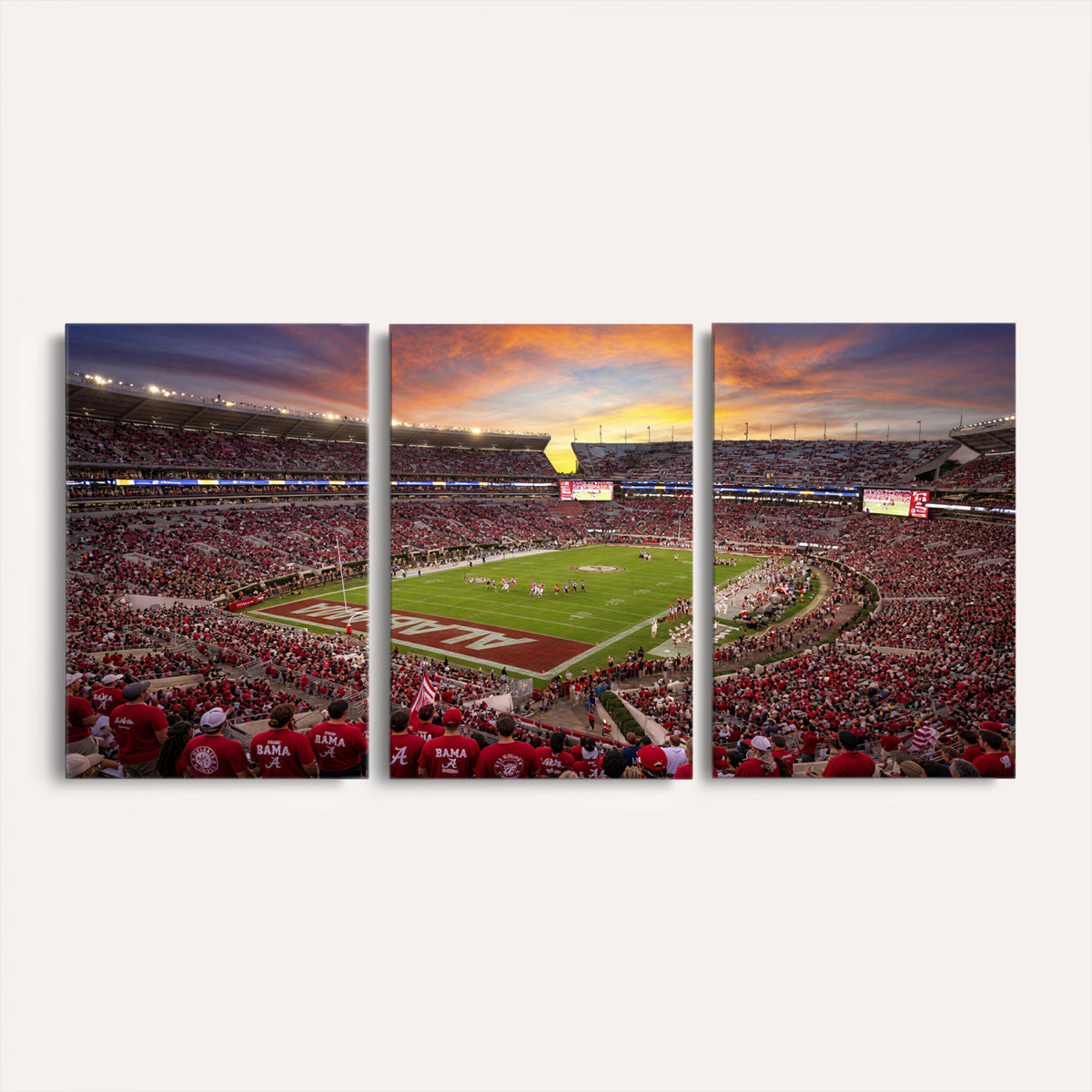 41995919-MGV-CV-36X24 - Stadium Wall Art Canvas Print