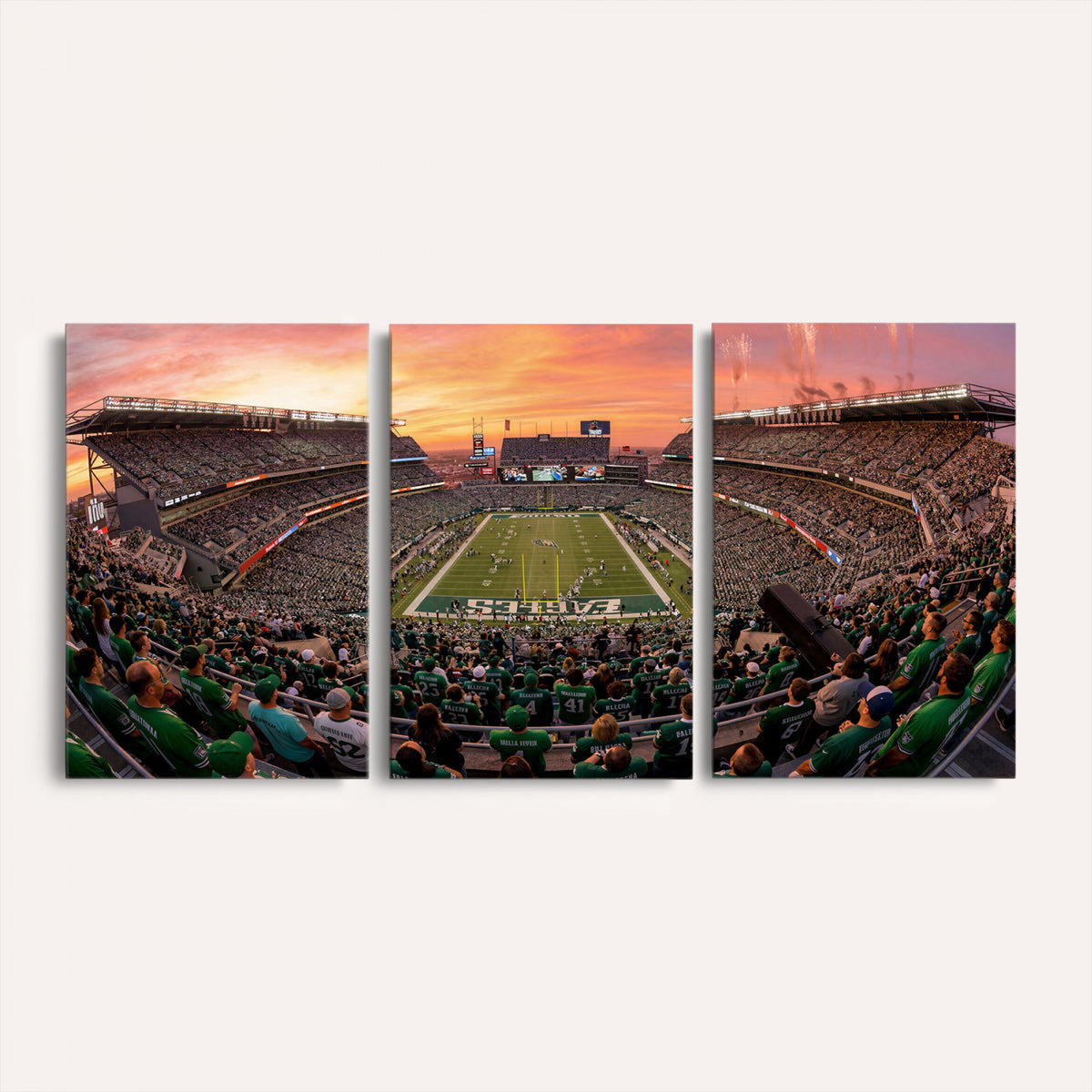 24458374-MGV-CV-36X24 - Stadium Wall Art Canvas Print