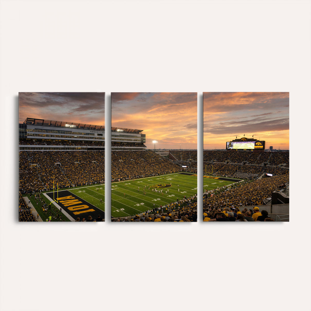 84993181-MGV-CV-36X24 - Stadium Wall Art Canvas Print