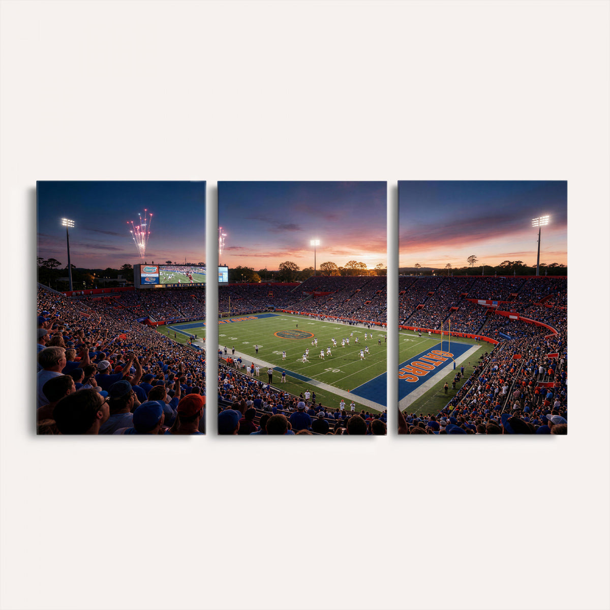 42817292-MGV-CV-36X24 - Stadium Wall Art Canvas Print